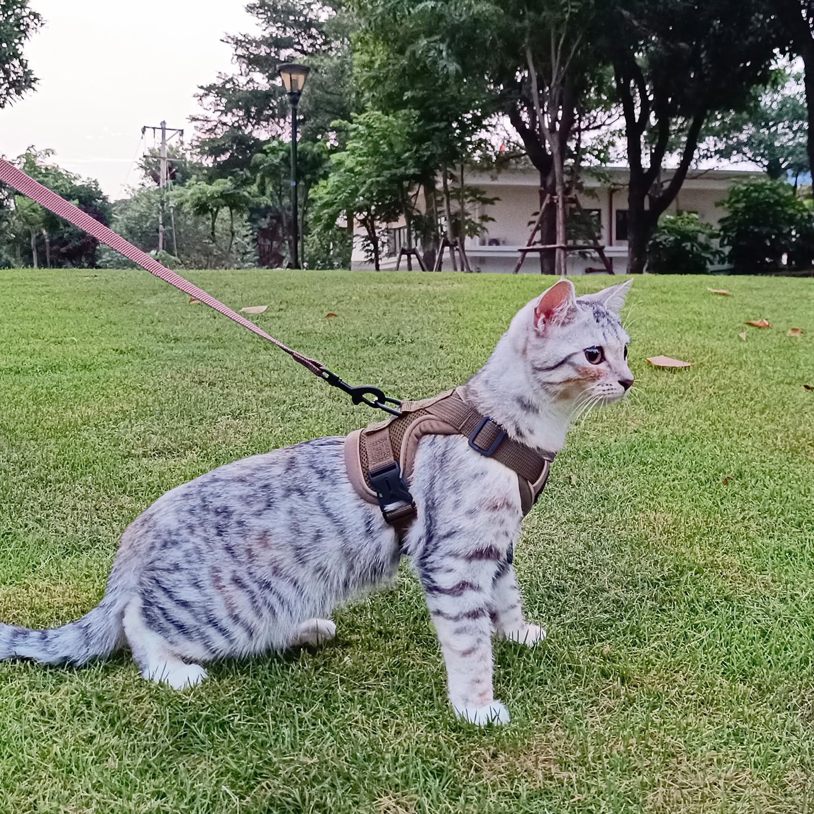 pangdi Cat Harness and Leash Set Escape Proof Tactical Small Kitten Harness Emotional Support Cat Vest, Brown, S