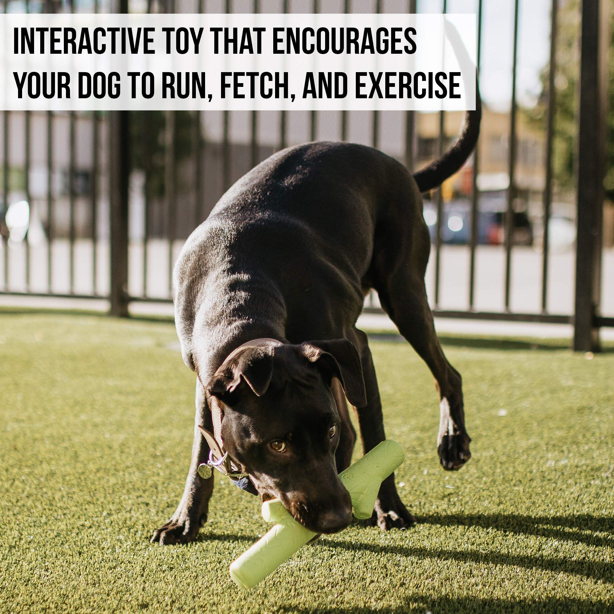 Hyper Pet Fetching Dog Toys - Throwing Stick Dog Toy Made With Eva Foam - Easy To Clean & Floats On Water