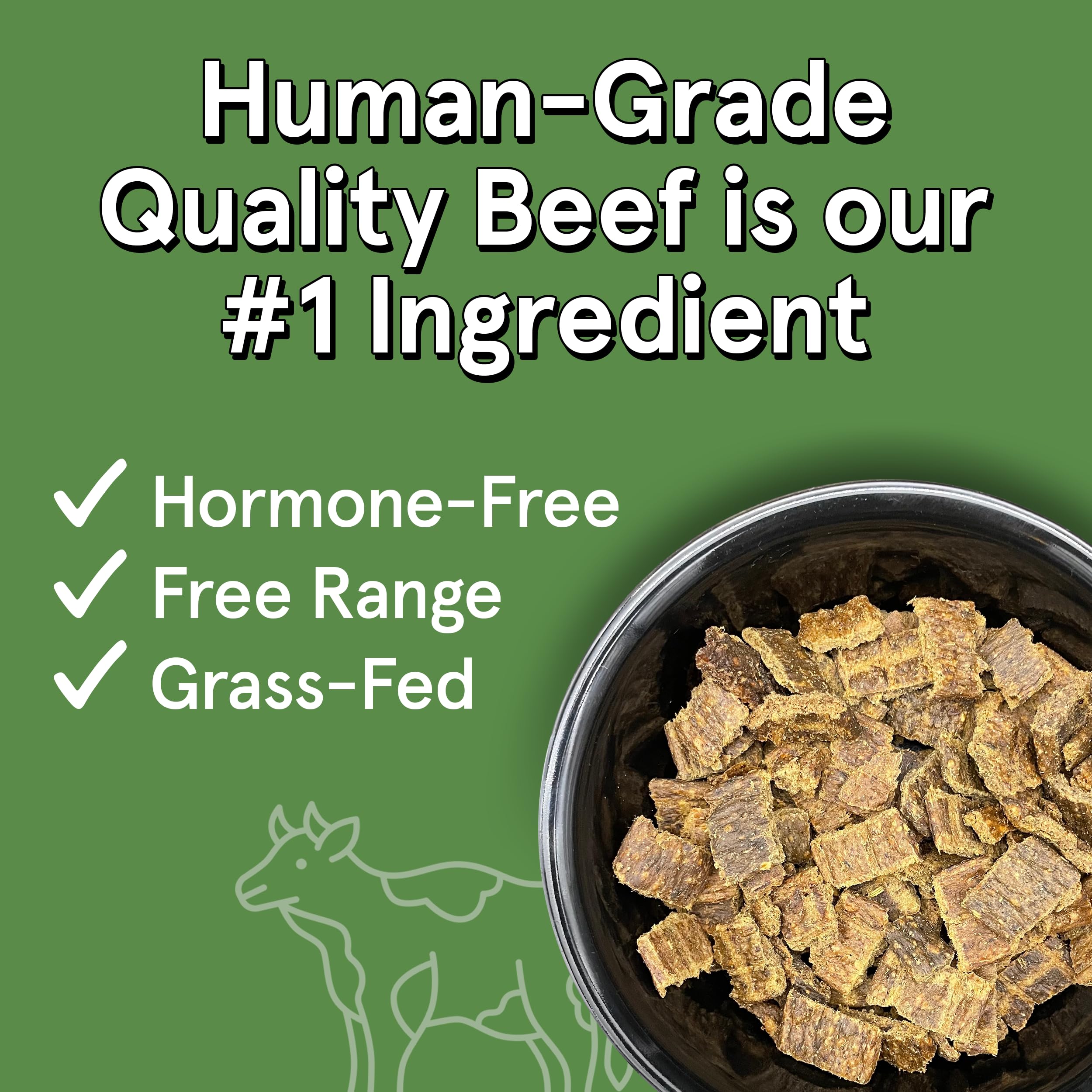 Real Meat Air Dried Dog Food w/ Real Beef - 10lb Bag of USA-Crafted Grain-Free, High Protein Dog Food
