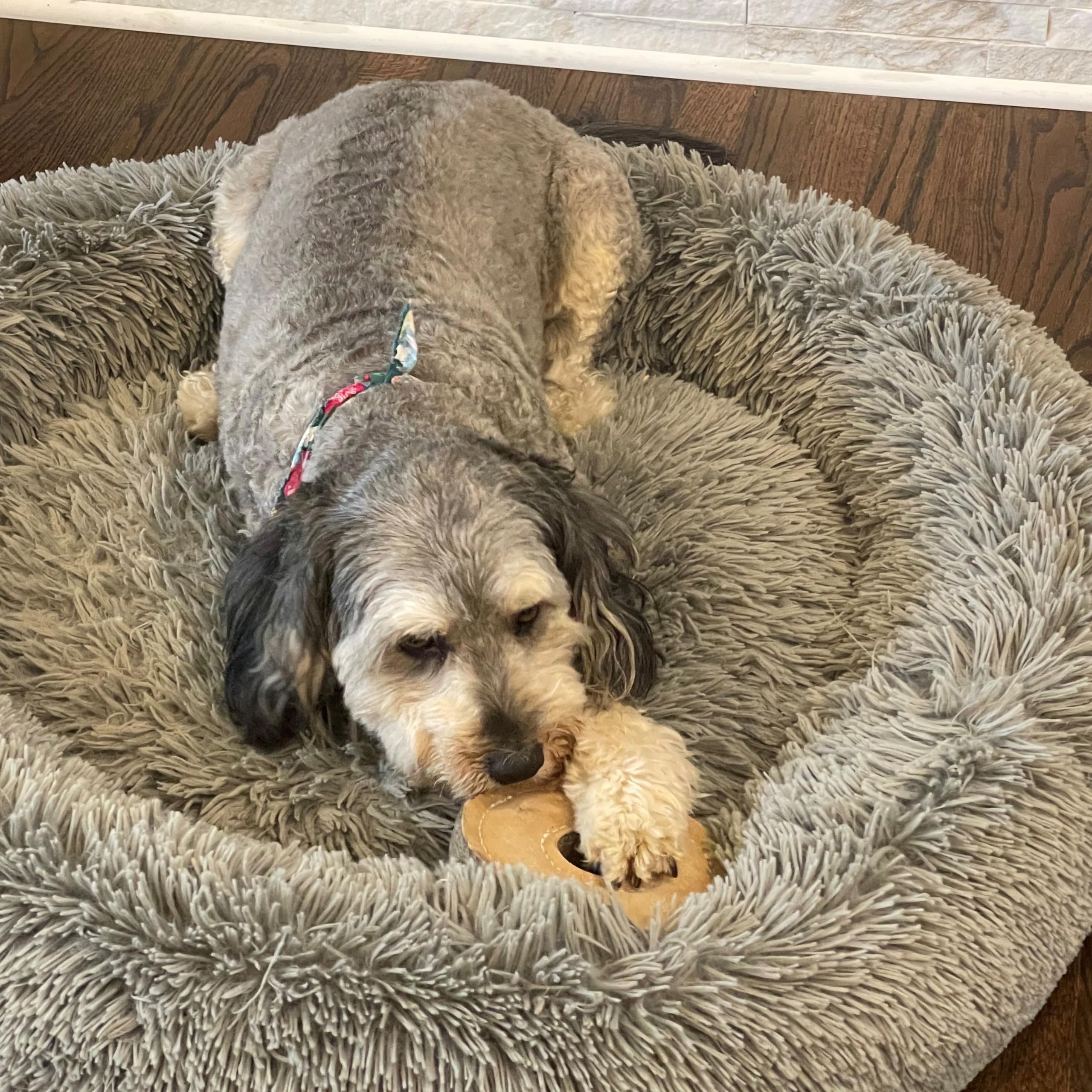 Spot Dura-Fused Chunkies Ring - All Natural Leather And Felt Dog Toy - No Squeak, No Fluff, Durable, Extra Thick Dog Chew Toy For Aggressive Chewers, Great For Adult Dogs And Teething Puppies, 6In