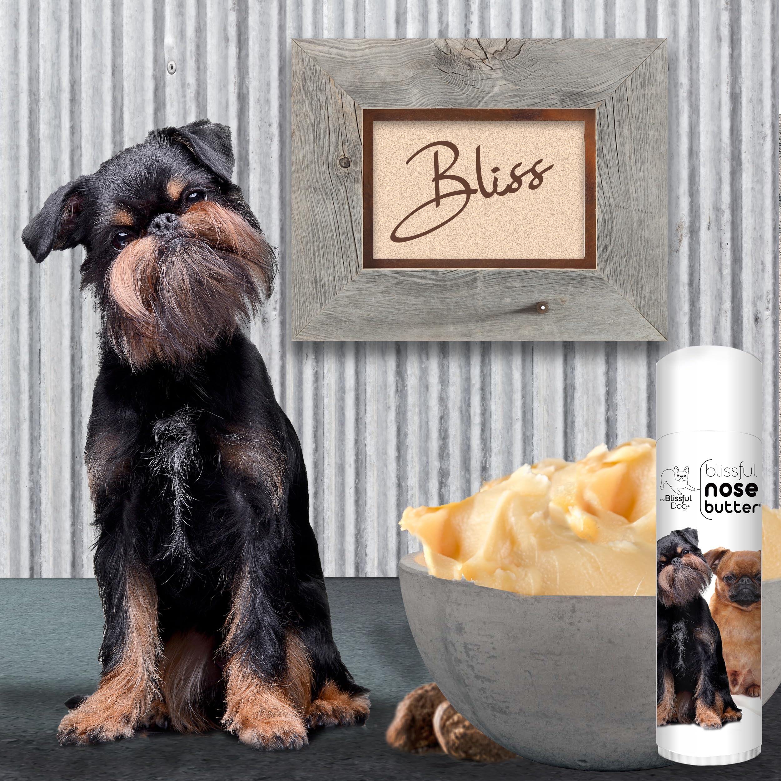 The Blissful Dog Brussels Griffon Unscented Nose Butter, 0.50-Ounce