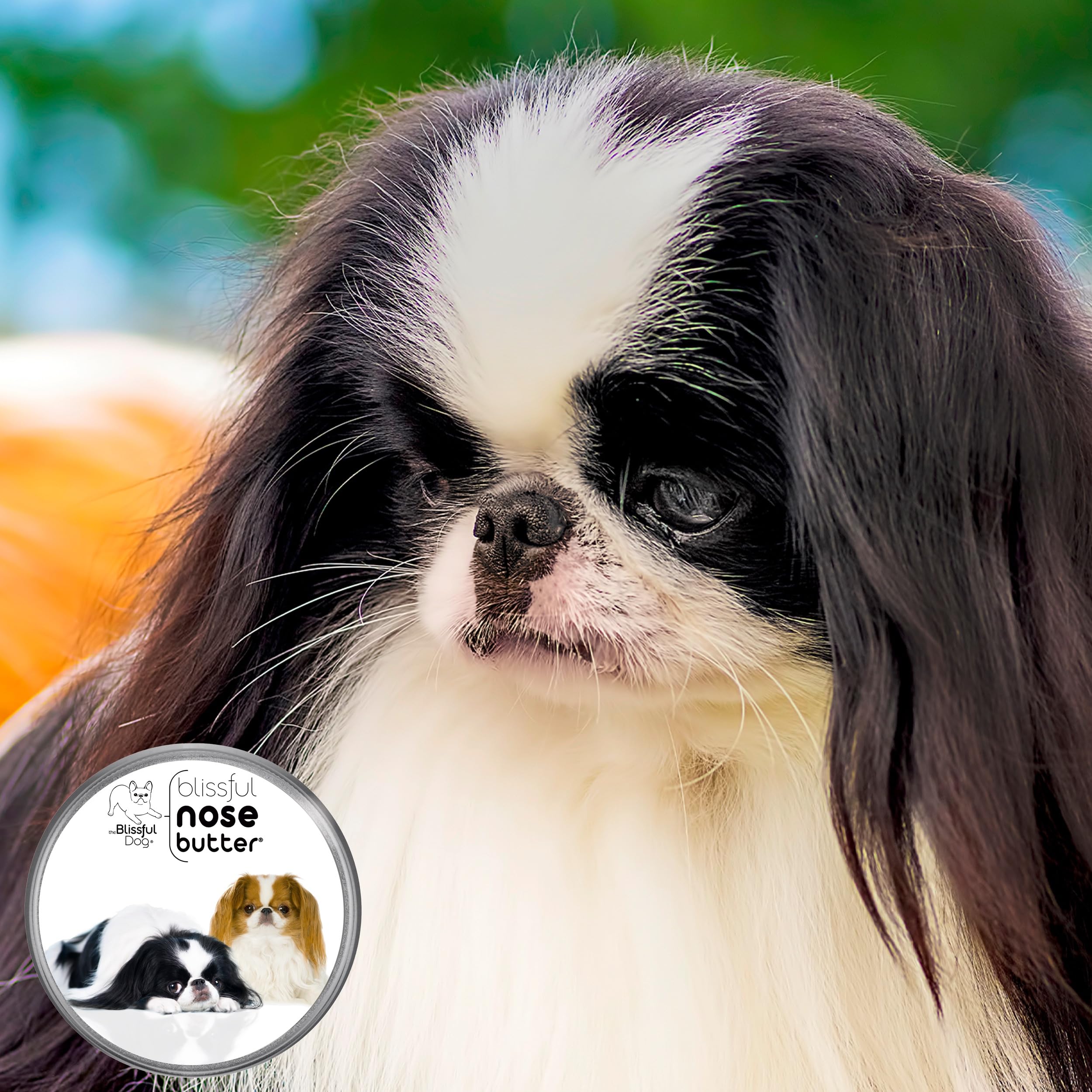 The Blissful Dog Japanese Chin Unscented Nose Butter - Dog Nose Butter, 16 Ounce
