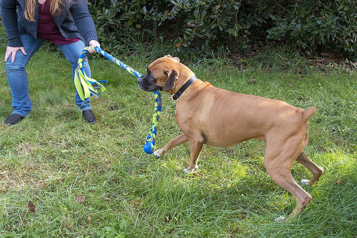 Petsafe Infini-Tug Dog Toy