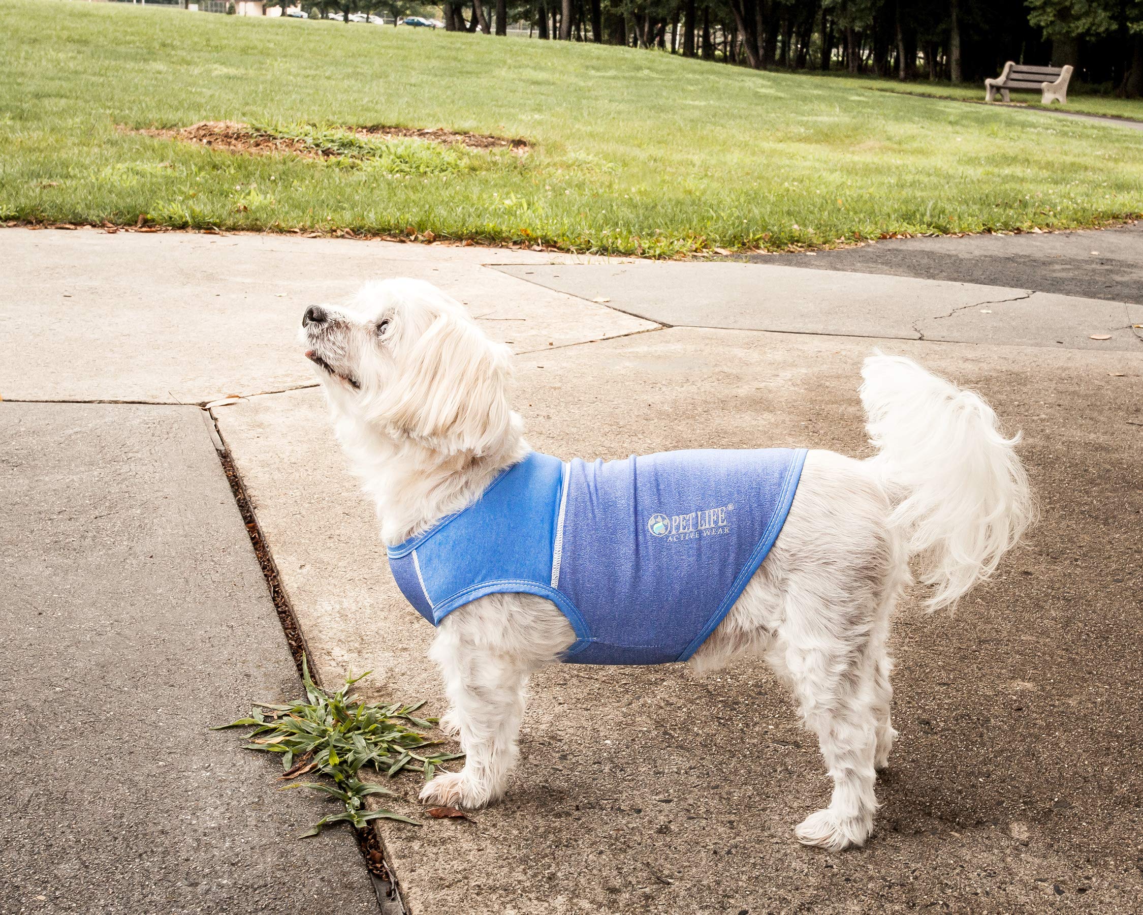 Pet Life  Active 'Aero-Pawlse' Heathered Fitness and Yoga Dog T-Shirt Tank Top - Performance Pet T-Shirt with 4-Way-Stretch and