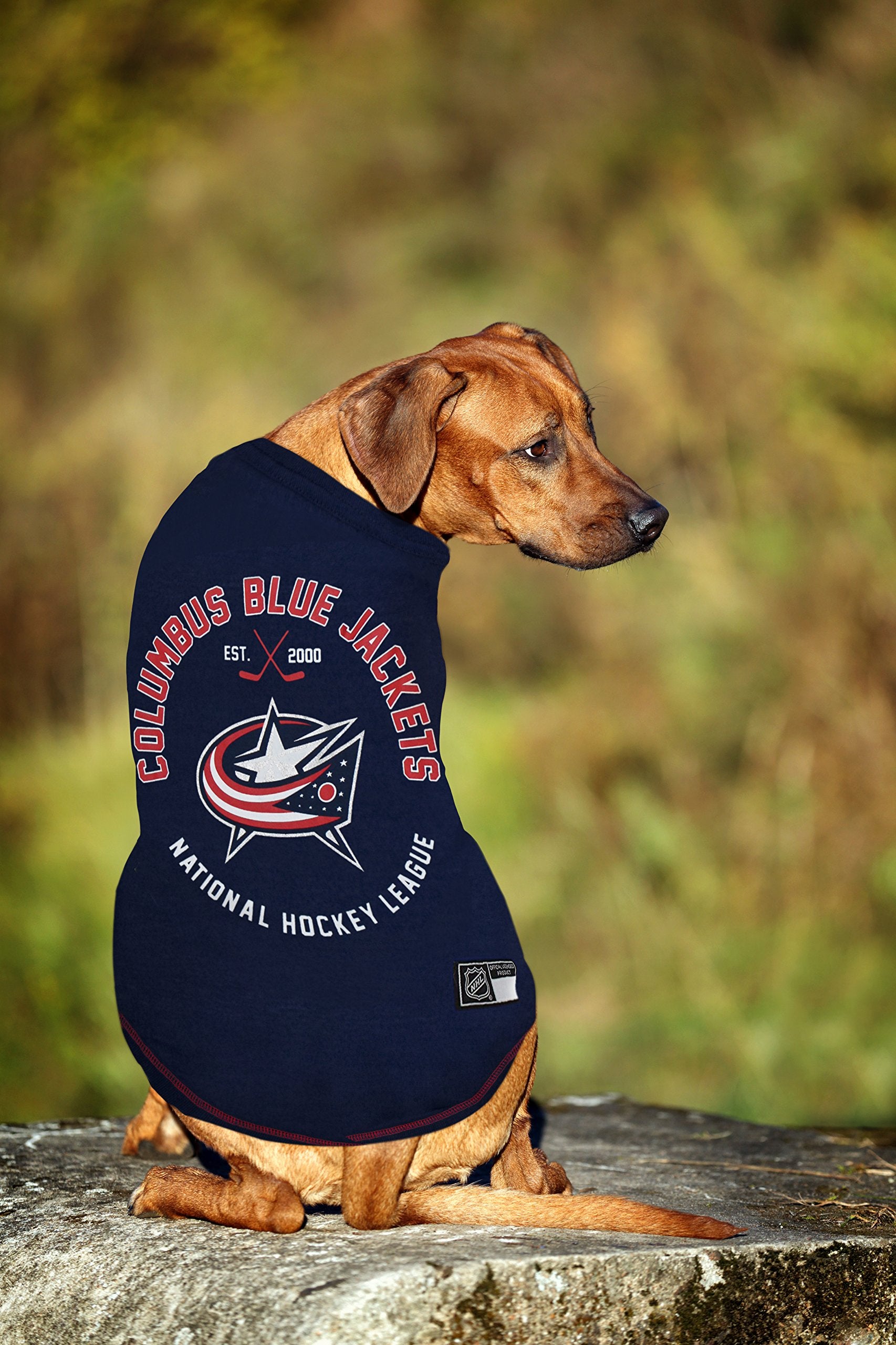 NHL Columbus Blue Jackets Tee Shirt for Dogs & Cats, Medium. - Are You A Hockey Fan? Let Your Pet Be An NHL Fan Too!