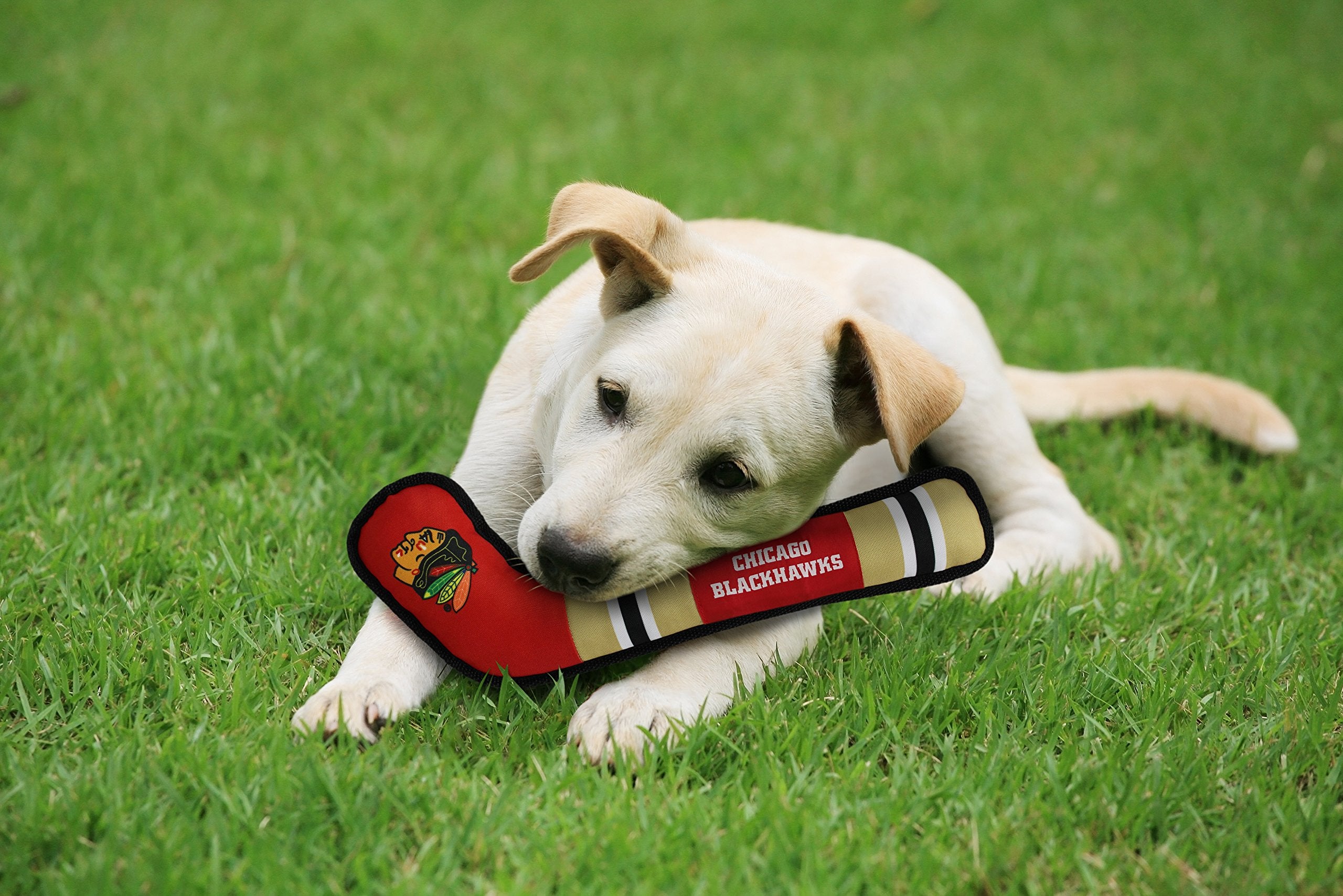 Pets First Dog Toy Tough Nylon With Inner Squeaker Licensed By Nhl Chicago Blackhawks Hockey Stick Toy For Dogs & Cats. Play Hoc