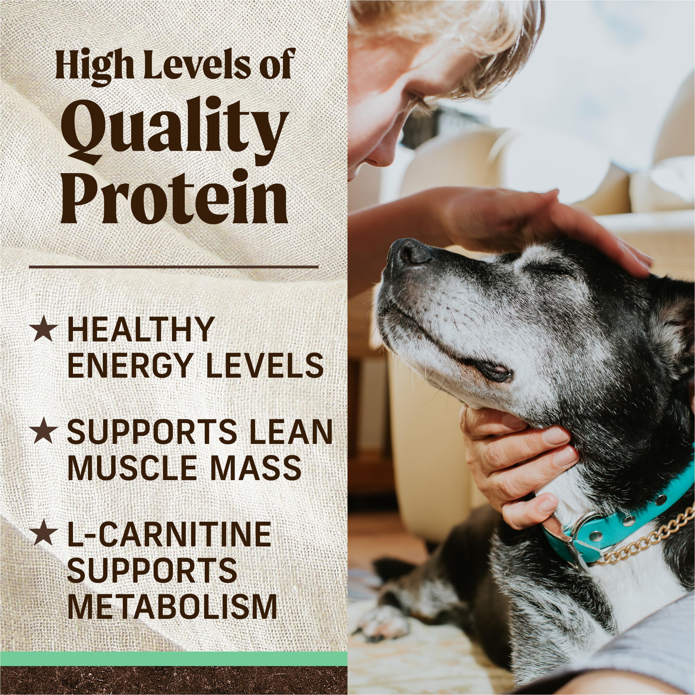 Merrick Premium Grain Free Dry Senior Dog Food, Wholesome and Natural Kibble, Real Chicken and Sweet Potato - 22.0 lb. Bag