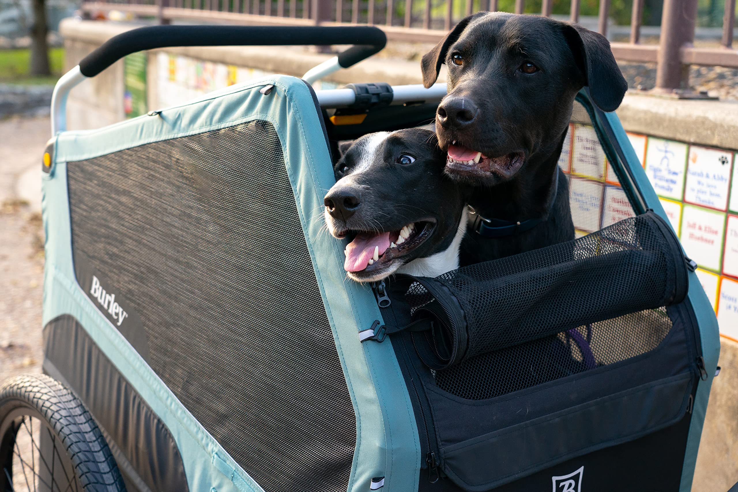 Burley Bark Ranger XL Pet Bike Trailer