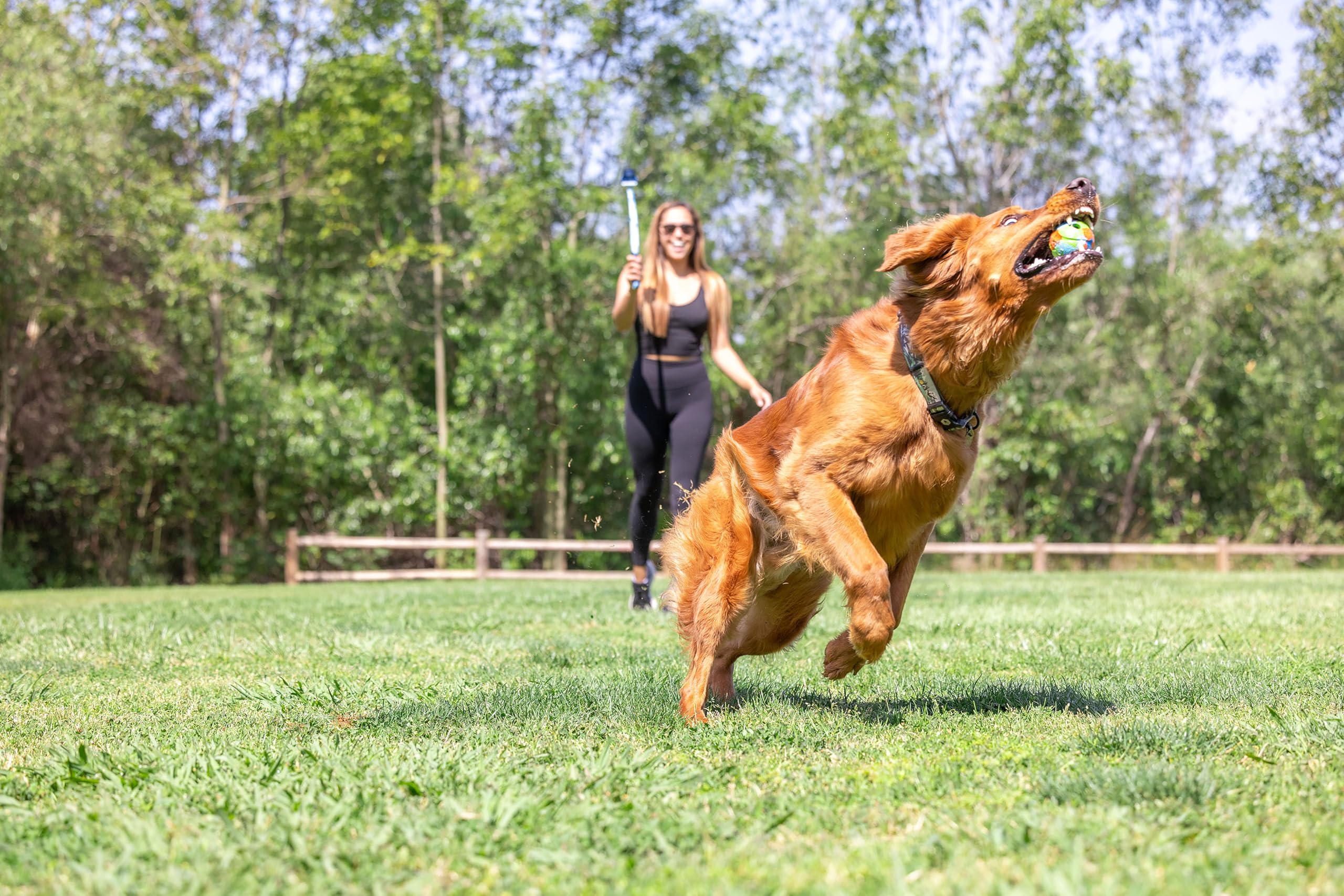Chuckit! Ecofetch Dog Ball Launcher - Medium (2.5'') Dog Fetch Portable Sports Ball Thrower For Dogs 20-60 Pounds