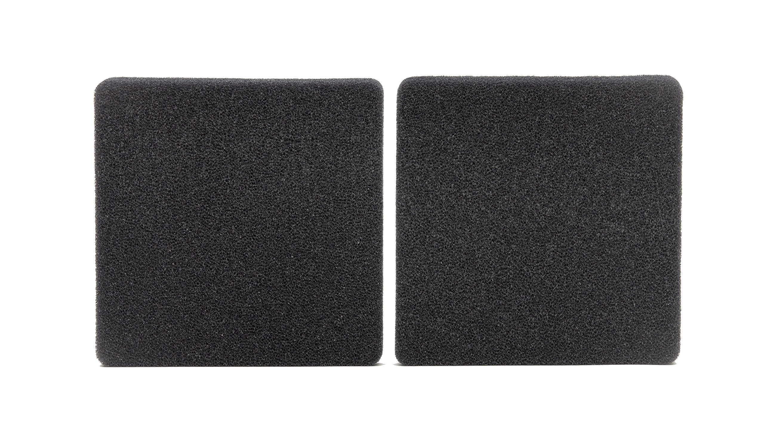 Api Filstar Xp Filtration Foam 30 Ppi Aquarium Canister Filter Filtration Pads 2-Count,Blacks & Grays
