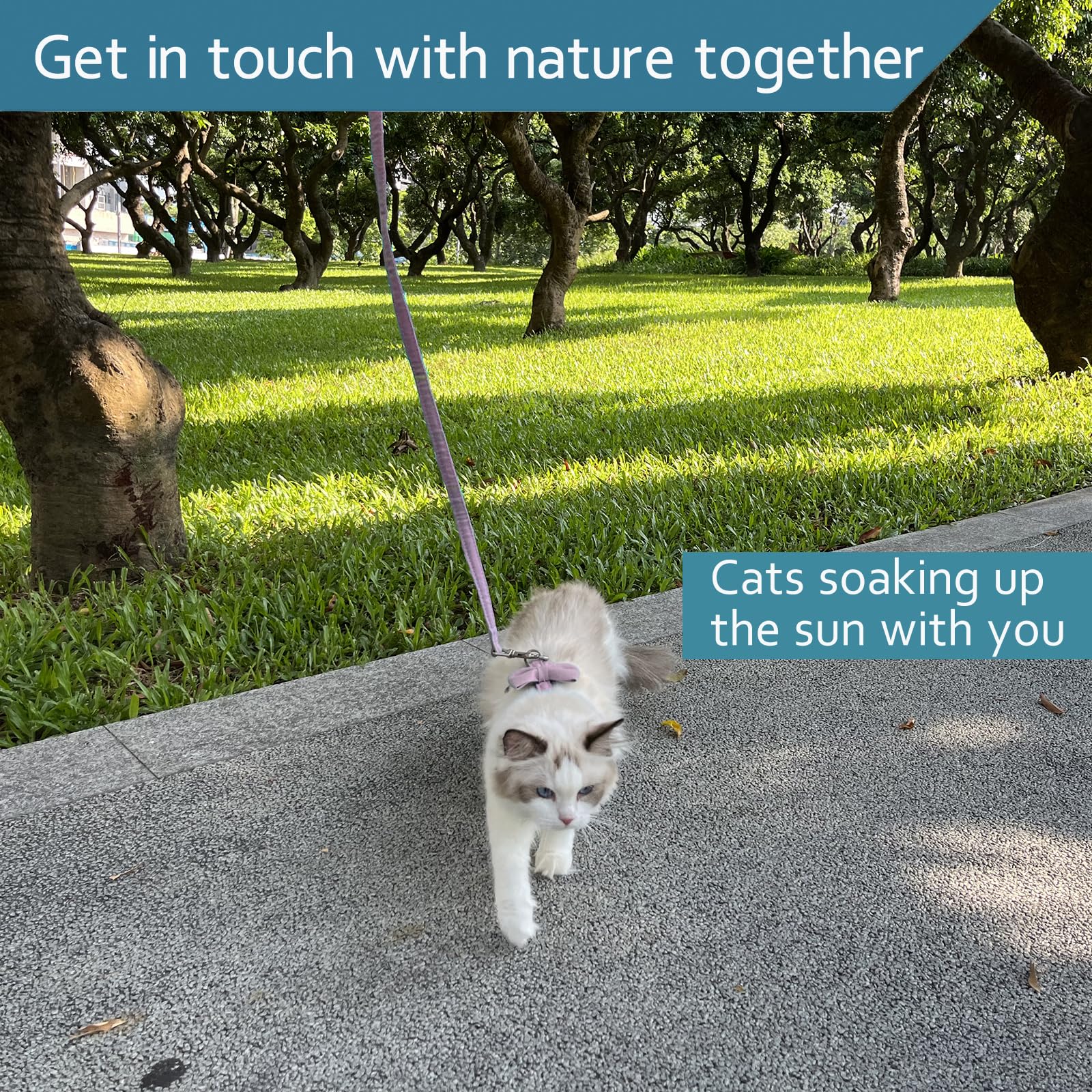 Cat Harness And Leash For Walking Escape Proof, Cat Vest Harness And Leash Ddzmz Soft Mesh Breathable Adjustable Pets Vest Harnesses For Cat Pink Color L Size For Pets Cats Kitten Puppy Rabbit Ferret