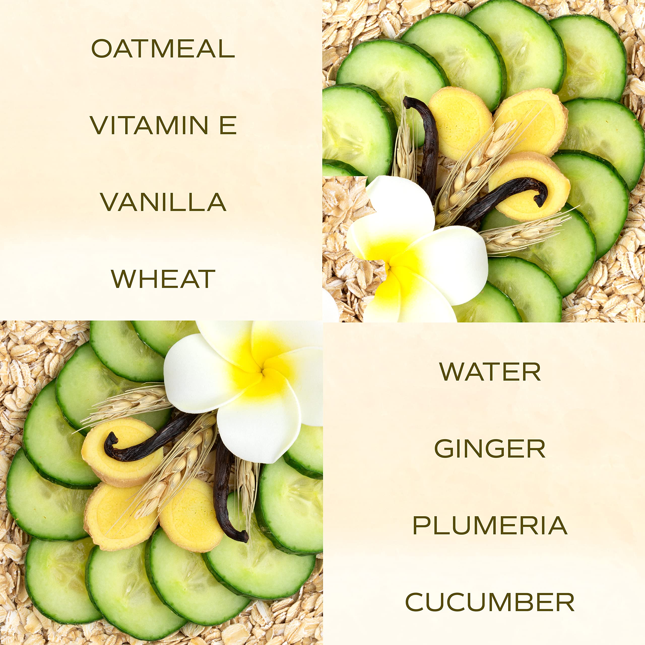 Tropiclean Spa Lavish Dog Conditioner | Nourishing Conditioner For Dogs | Naturally Derived Salon Grade Ingredients | Made In The Usa | 1 Gallon