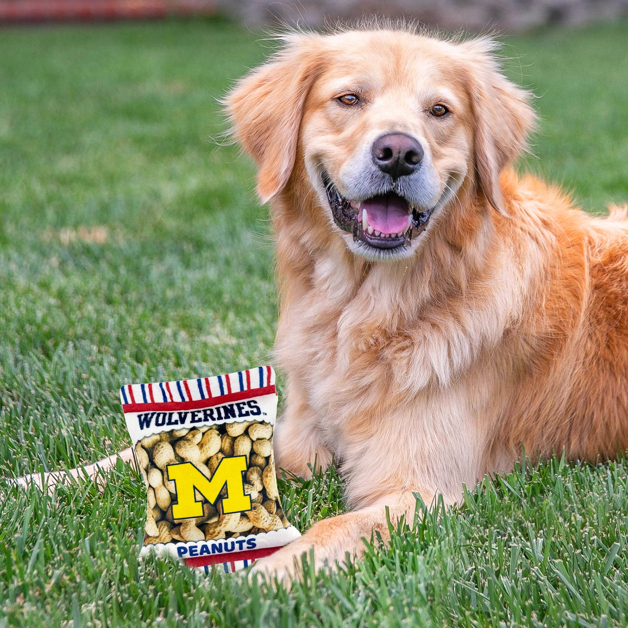 Pets First Ncaa Michigan Wolverines Crinkle Fine Plush Dog & Cat Squeak Toy- Cutest Stadium Peanuts Snack Toy For Dogs & Cats Wi