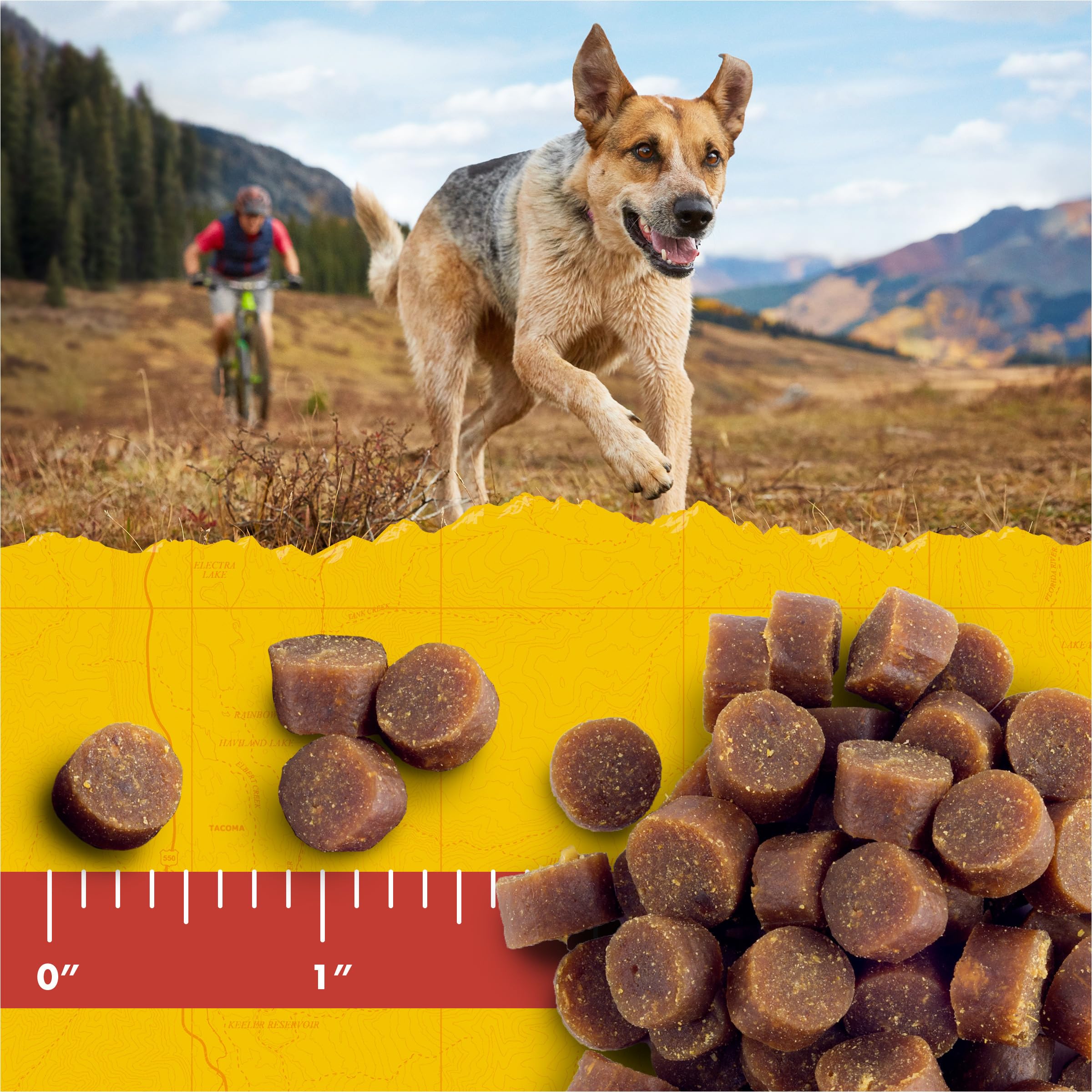 Zukes Mini Naturals Dog Training Treats for Dogs of All Sizes, Pet Treats made with Real Duck,16 oz. Resealable Pouch - 16 oz. B