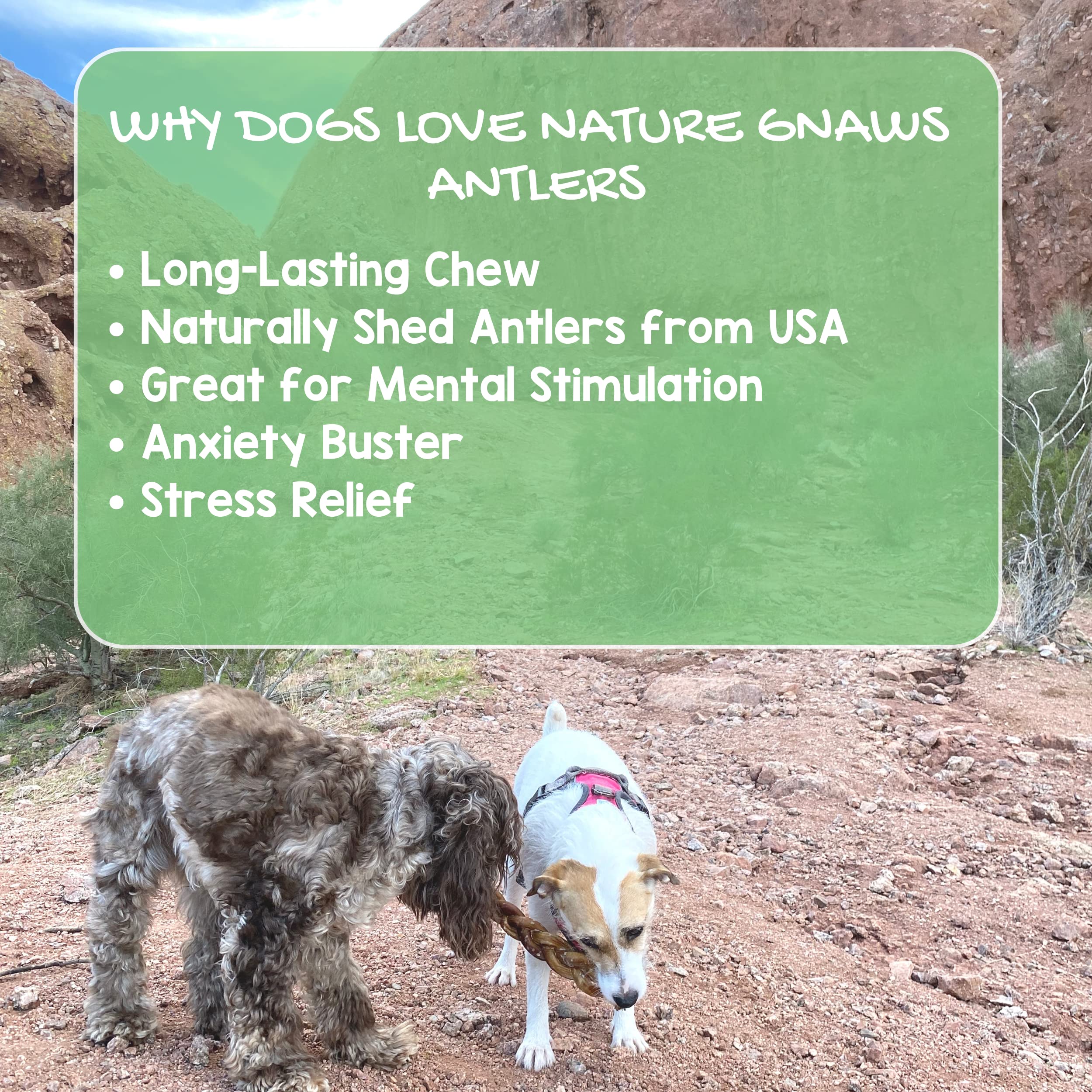 Nature Gnaws Elk Antlers For Large Dogs - Premium Natural Usa Antler - Long Lasting Dog Bones For Aggressive Chewers - Mix Of Split And Whole - 5-8 Inch -Like New