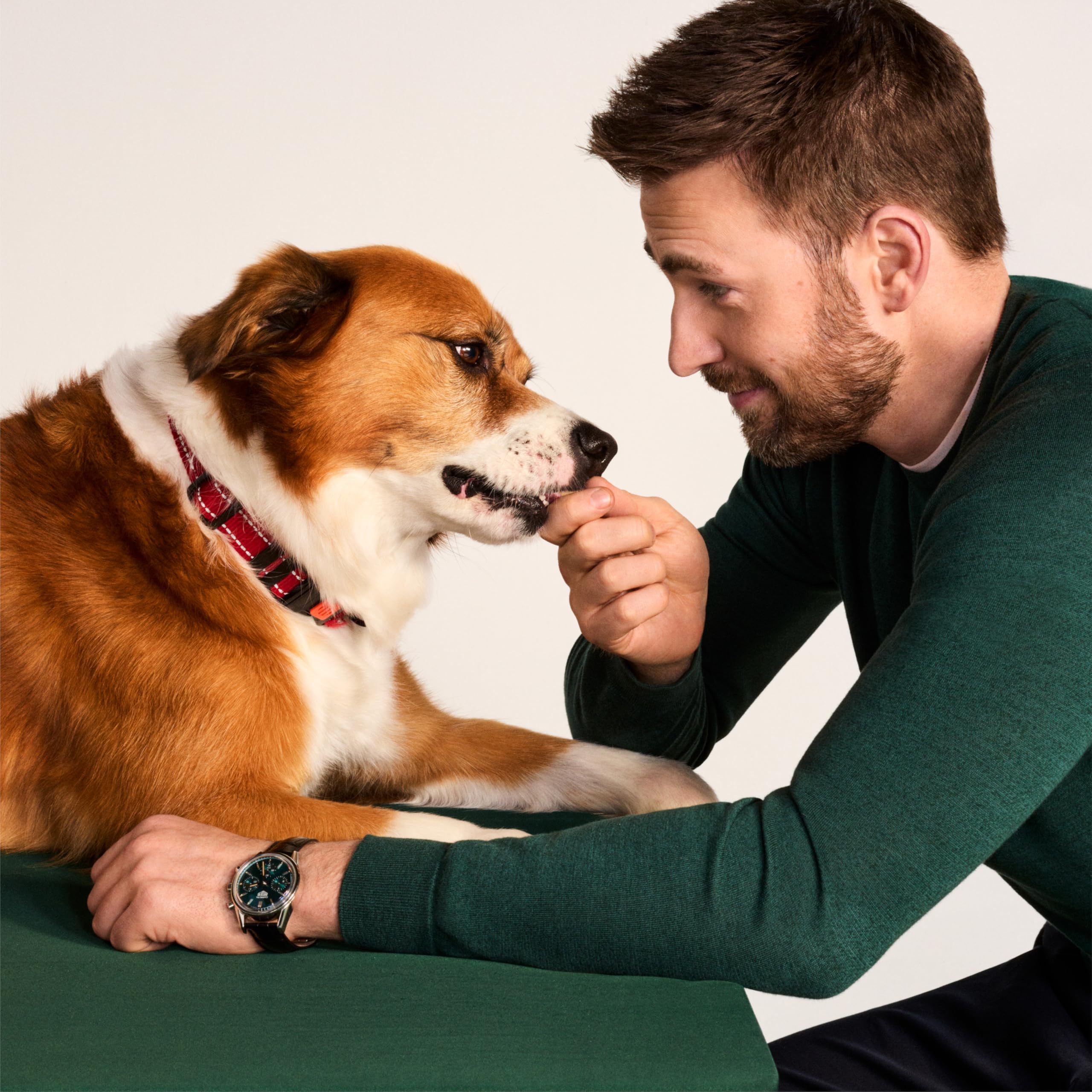 Jinx Chicken Tenders Jerky Dog Treats - Soft & Chewy, All Natural Dog Jerky Treats with Cage-Free Chicken - Pet Products for All