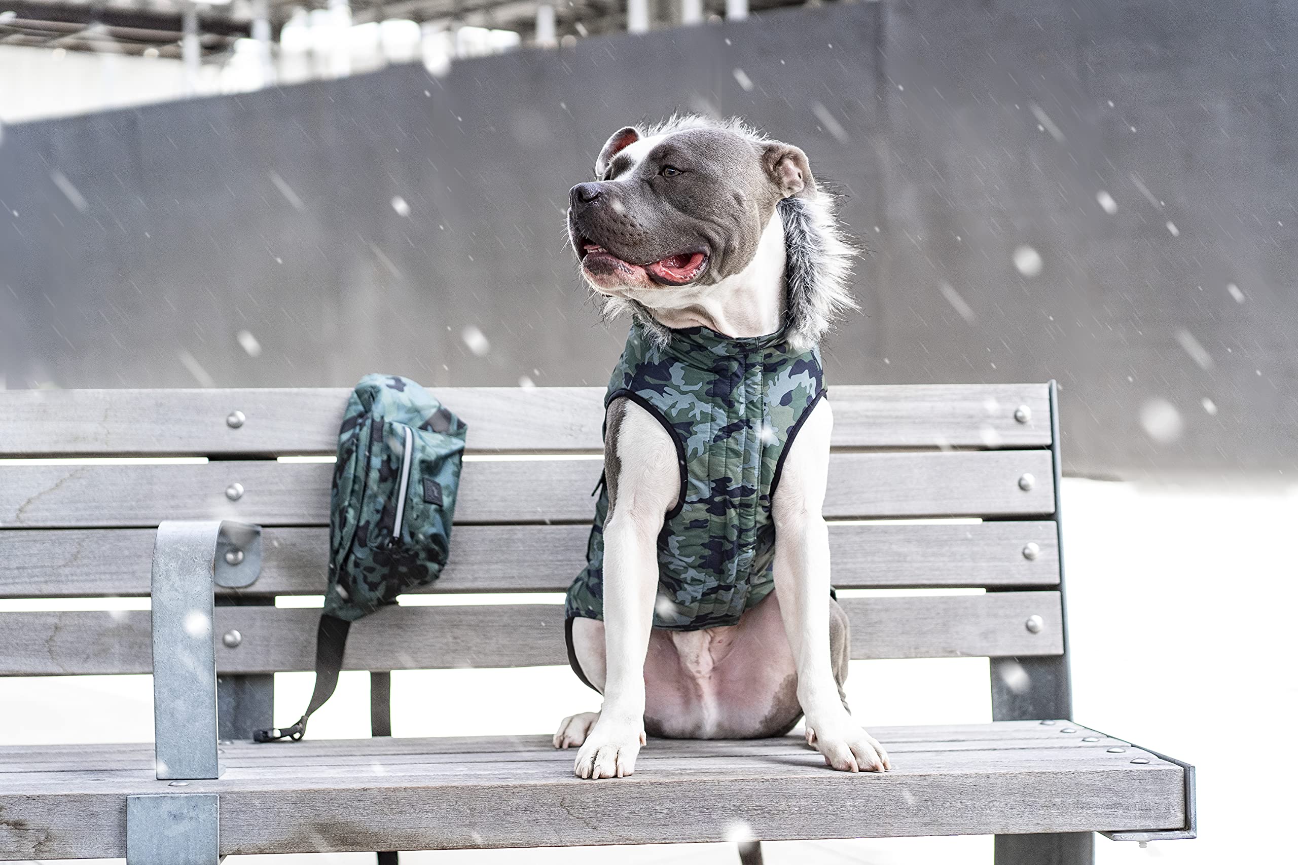 Canada Pooch Dog Winter Vest With Water-Resistent Insulation Down Jacket For Warmth Comfortable Winter Dog Coat With Fleece Lini