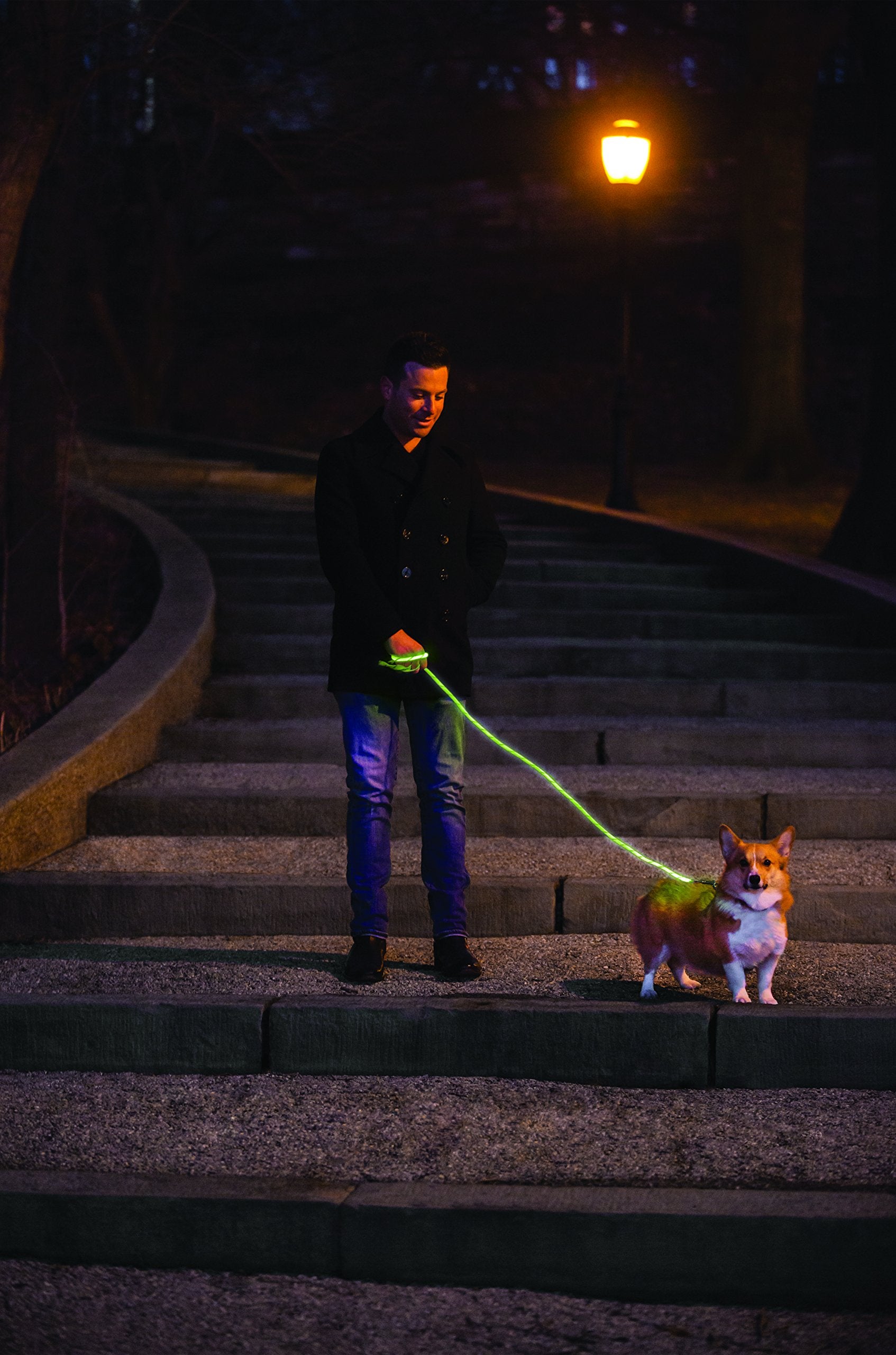 Nitey Leash - Led Glow In The Dark Pet Dog Leash (Green)