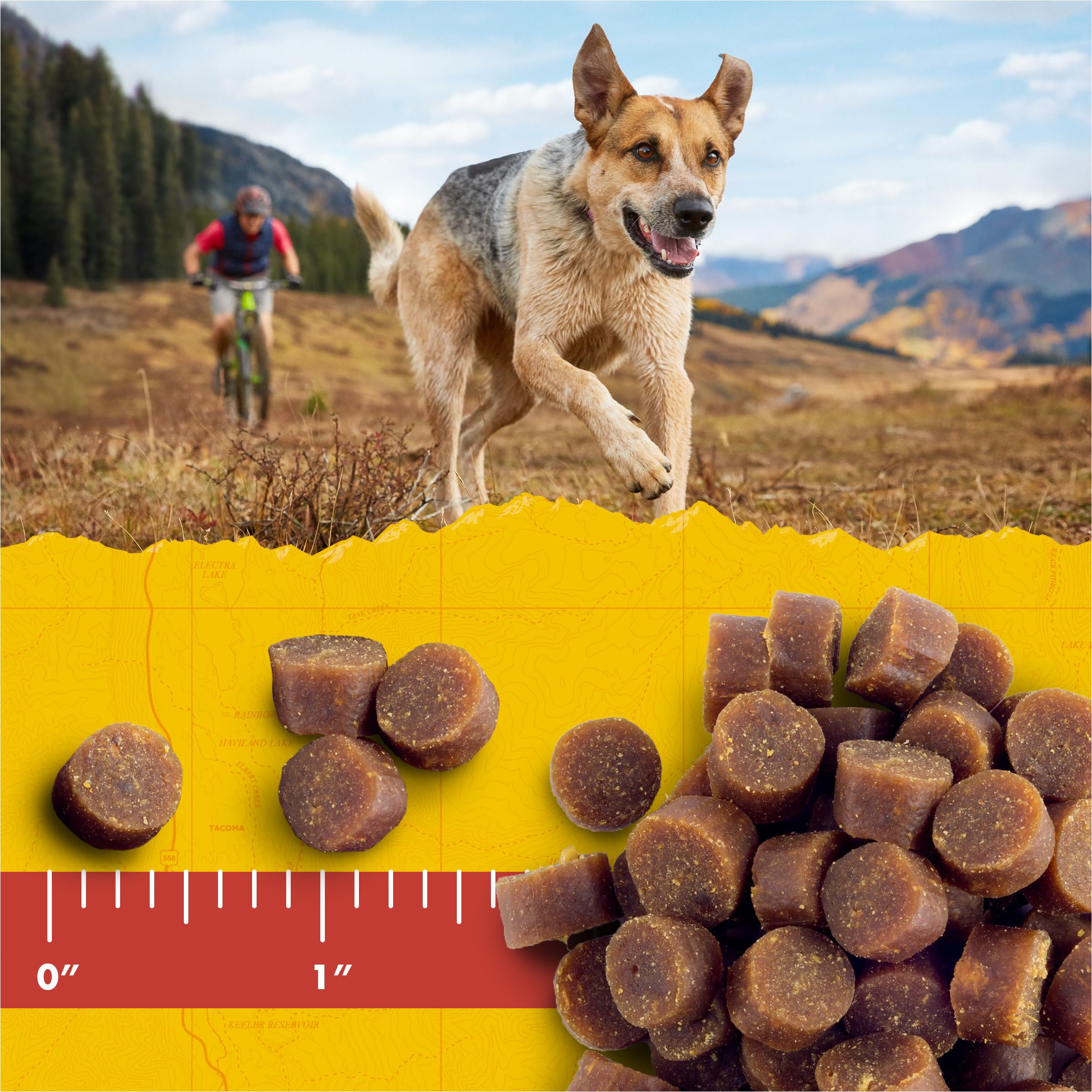Zukes Mini Naturals Dog Training Treats for Dogs of All Sizes, Pet Treats made with Real Chicken, 16 oz. Resealable Pouch - 16 o