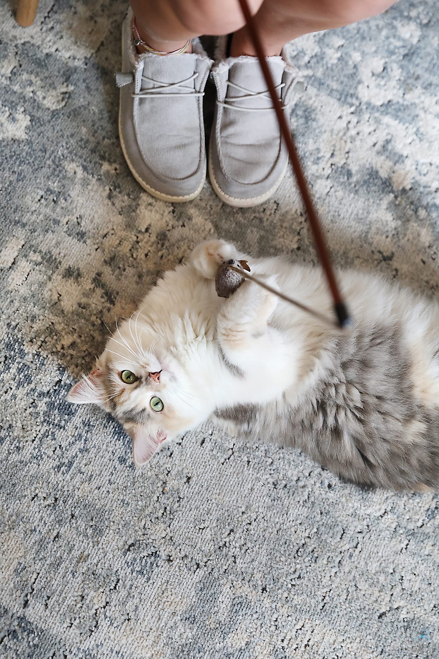 Ourpets Play-N-Squeak Teathered & Feathered Play Wand Cat Toy, For All Breed Sizes