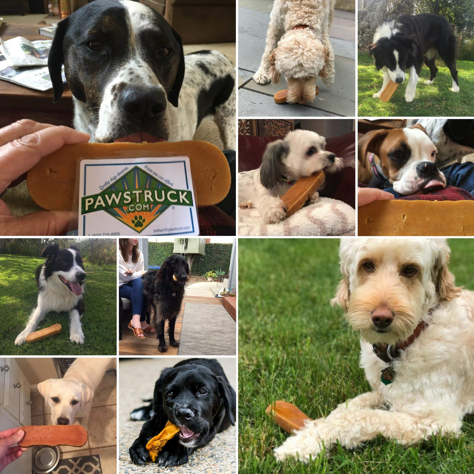 Pawstruck Large Himalayan Yak Dog Chew (6-7 oz) - Natural Yak & Cow Milk Cheese Long-Lasting Treat for Dog Chew Stick - 1 Count
