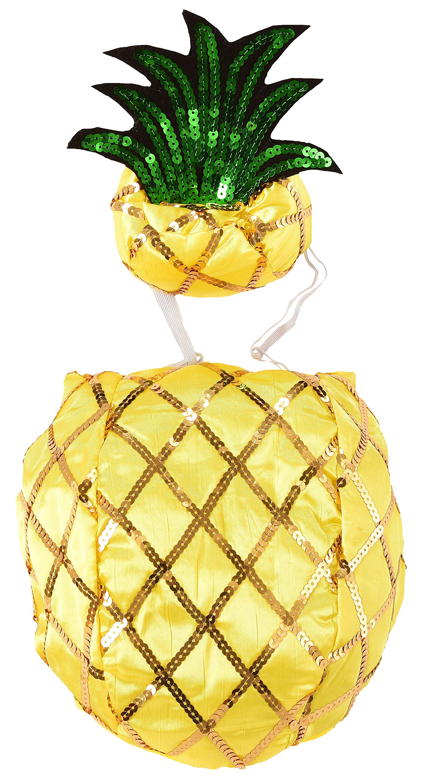 Rubie'S Pineapple Pet Costume, Large
