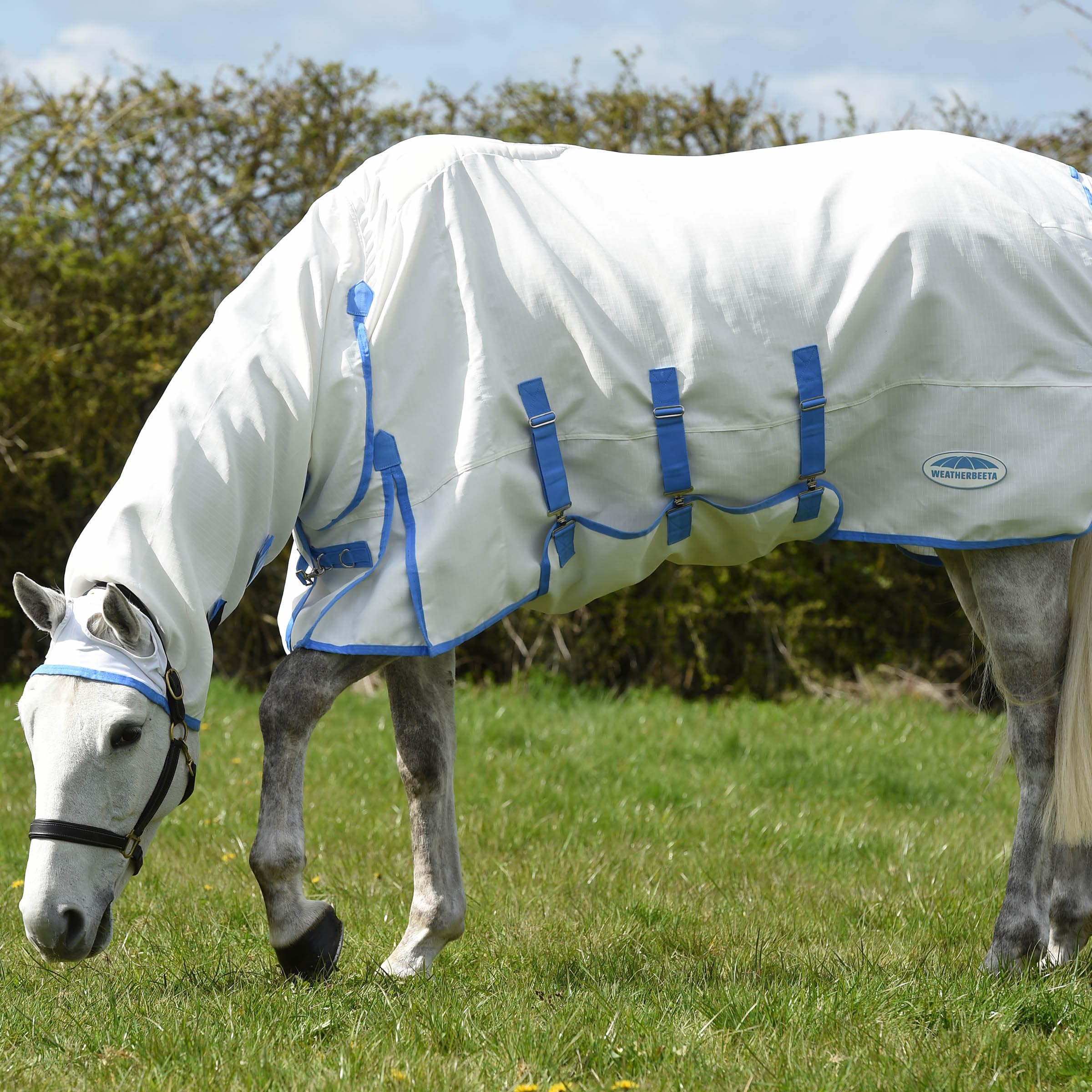 WeatherBeeta Sweet Itch Shield Combo Neck, White/Blue, 81