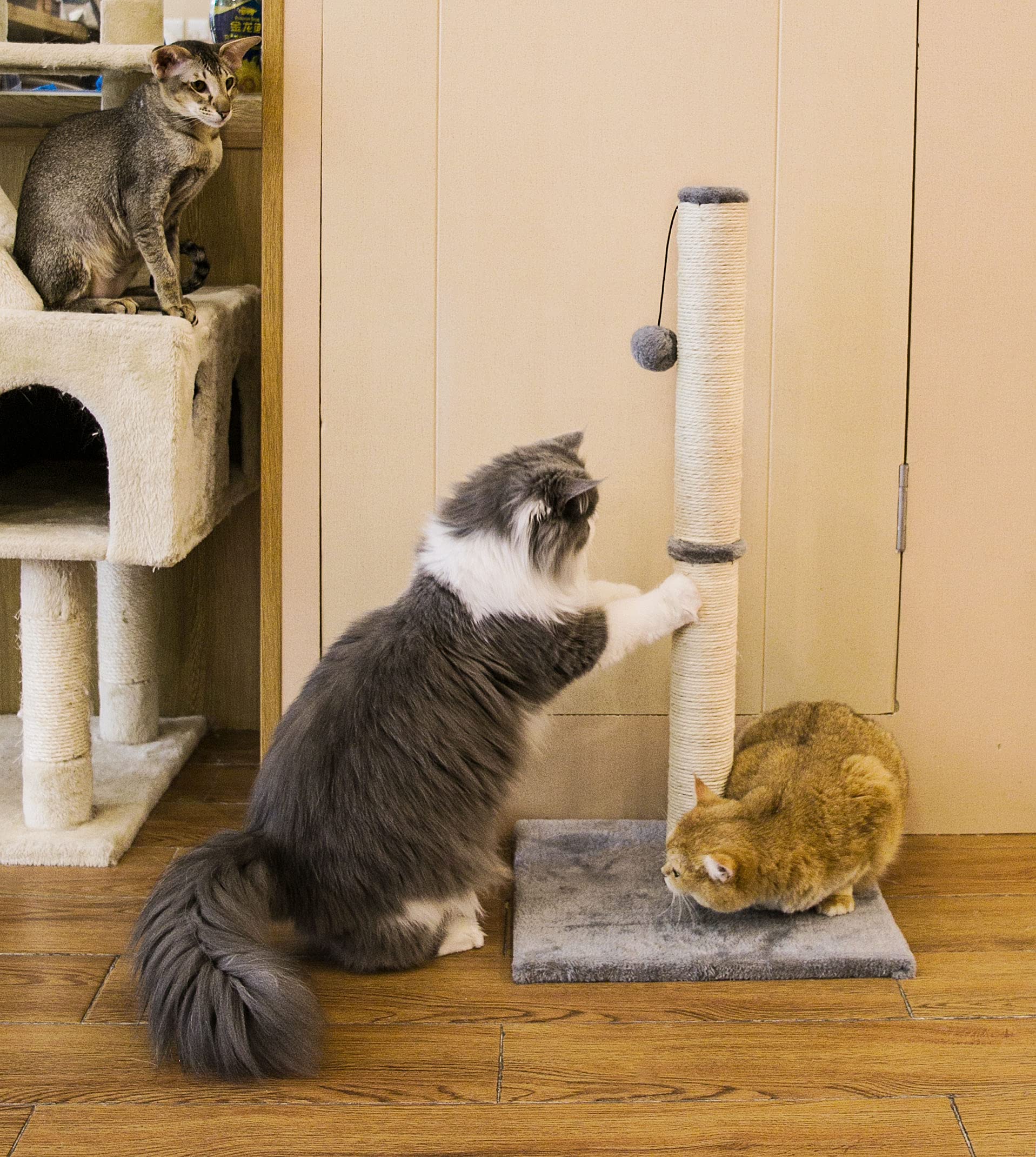 Qucey 32'' Tall Cat Scratching Post For Indoor Cats Premium Sisal Rope Cat Activity Scratcher Scratch Posts With Hanging Ball Fo