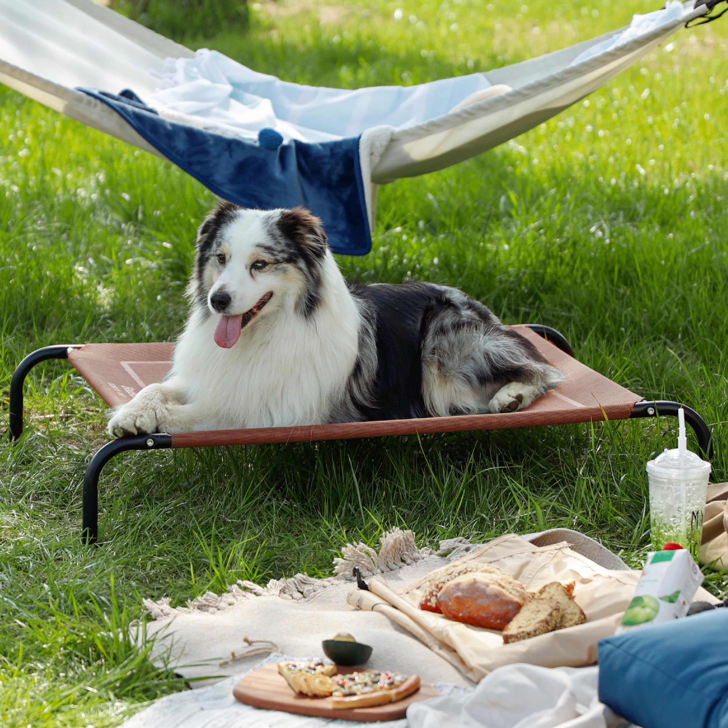 Bedsure Xl Elevated Outdoor Dog Bed - Raised Dog Cots Beds For Extra Large Dogs, Portable Indoor & Outdoor Pet Hammock Bed With