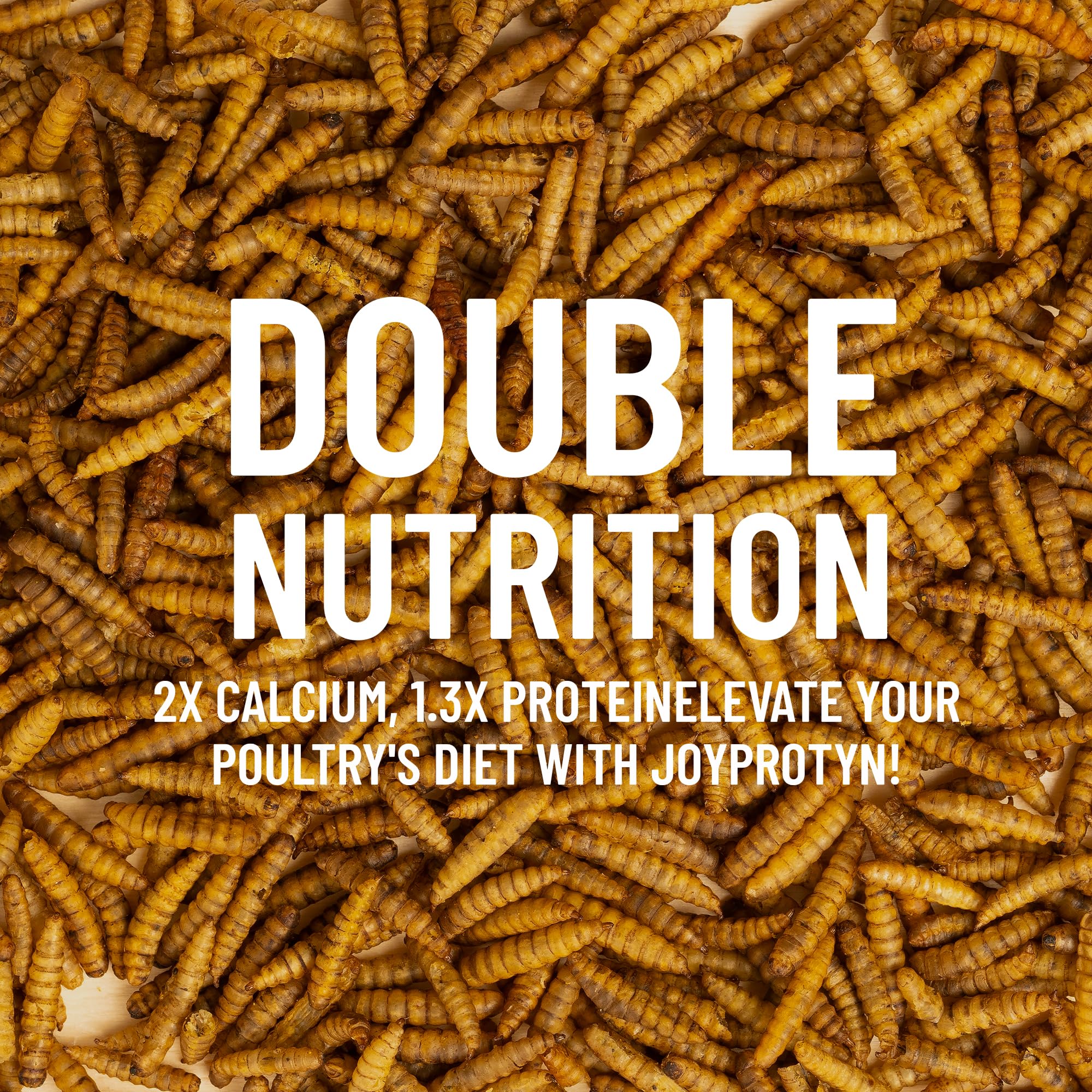 Joyprotyn 5LB Non-GMO Dried Black Soldier Fly Larvae for Chicken - 85X More Calcium Grubs Than Mealworms for Strong Eggshells &