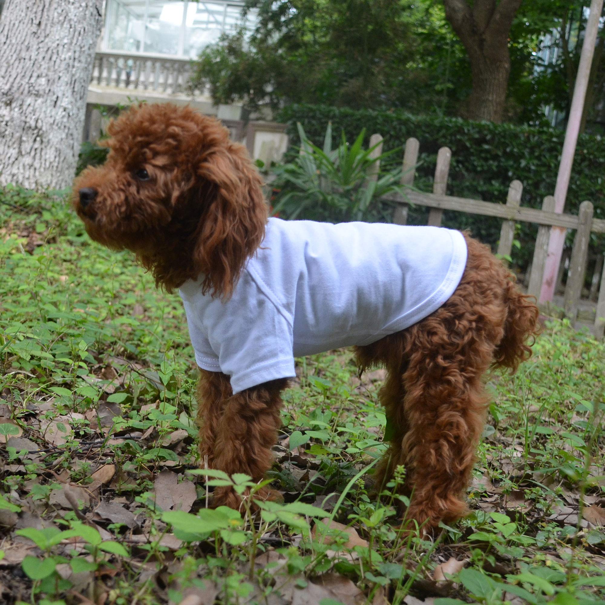Lovelonglong 2019 Pet Clothing Dog Costumes Basic Blank T-Shirt Tee Shirts For Small Dogs White L