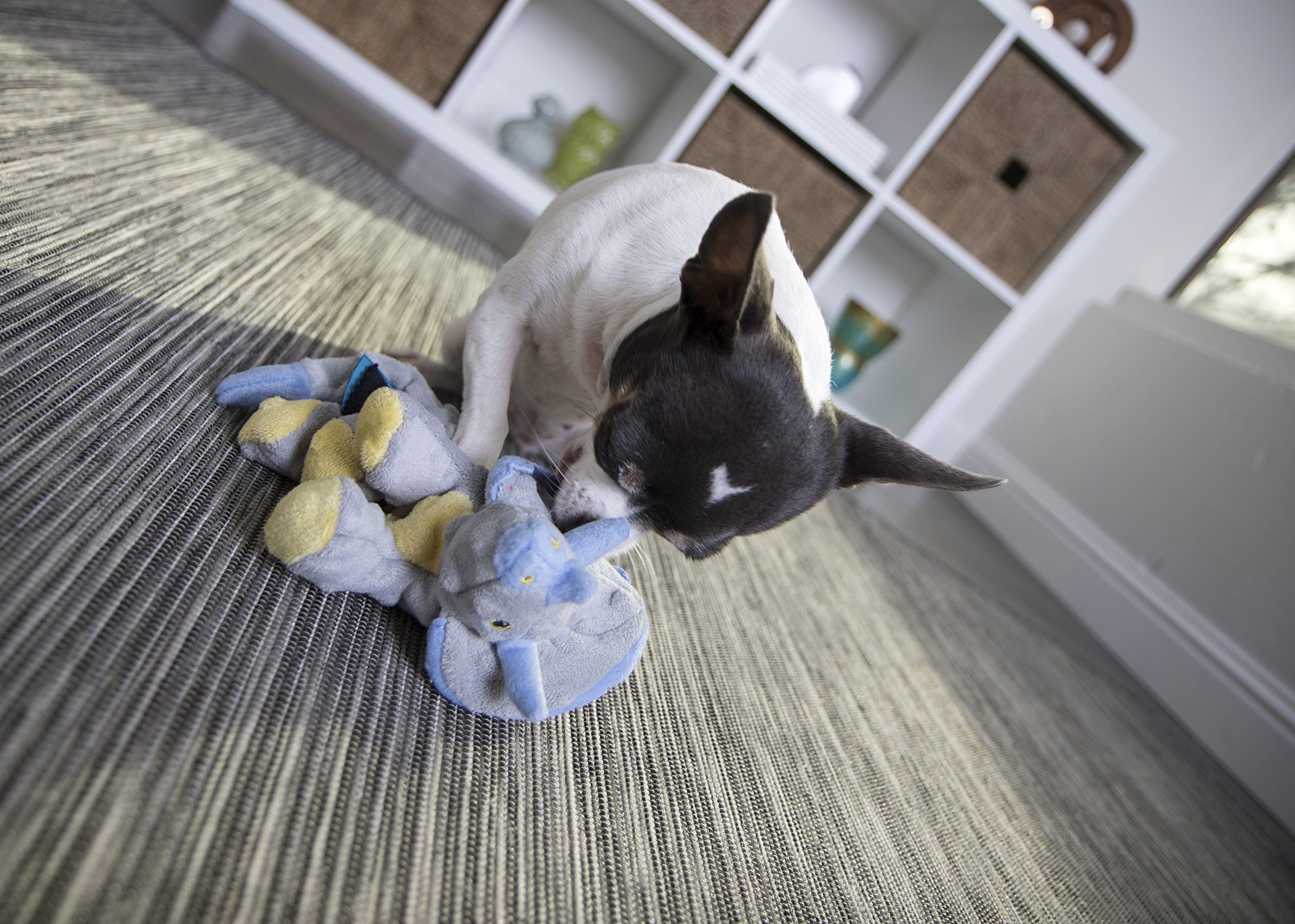 goDog Dinos Frills Squeaky Plush Dog Toy, Chew Guard Technology - Gray, Small