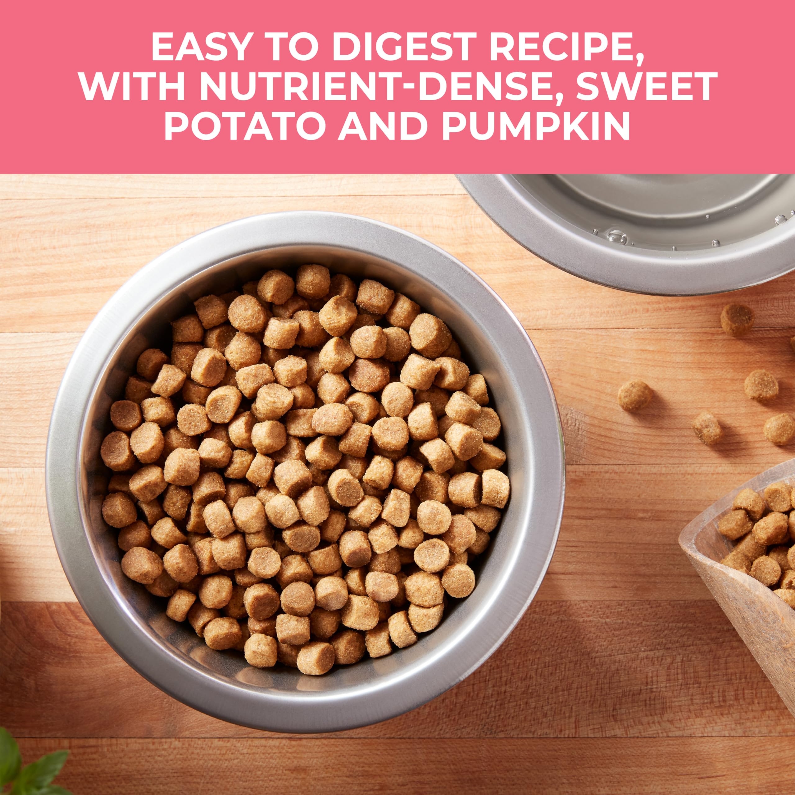 Natures Recipe Grain Free Salmon, Sweet Potato & Pumpkin Recipe Dry Dog Food, 24 lb. Bag