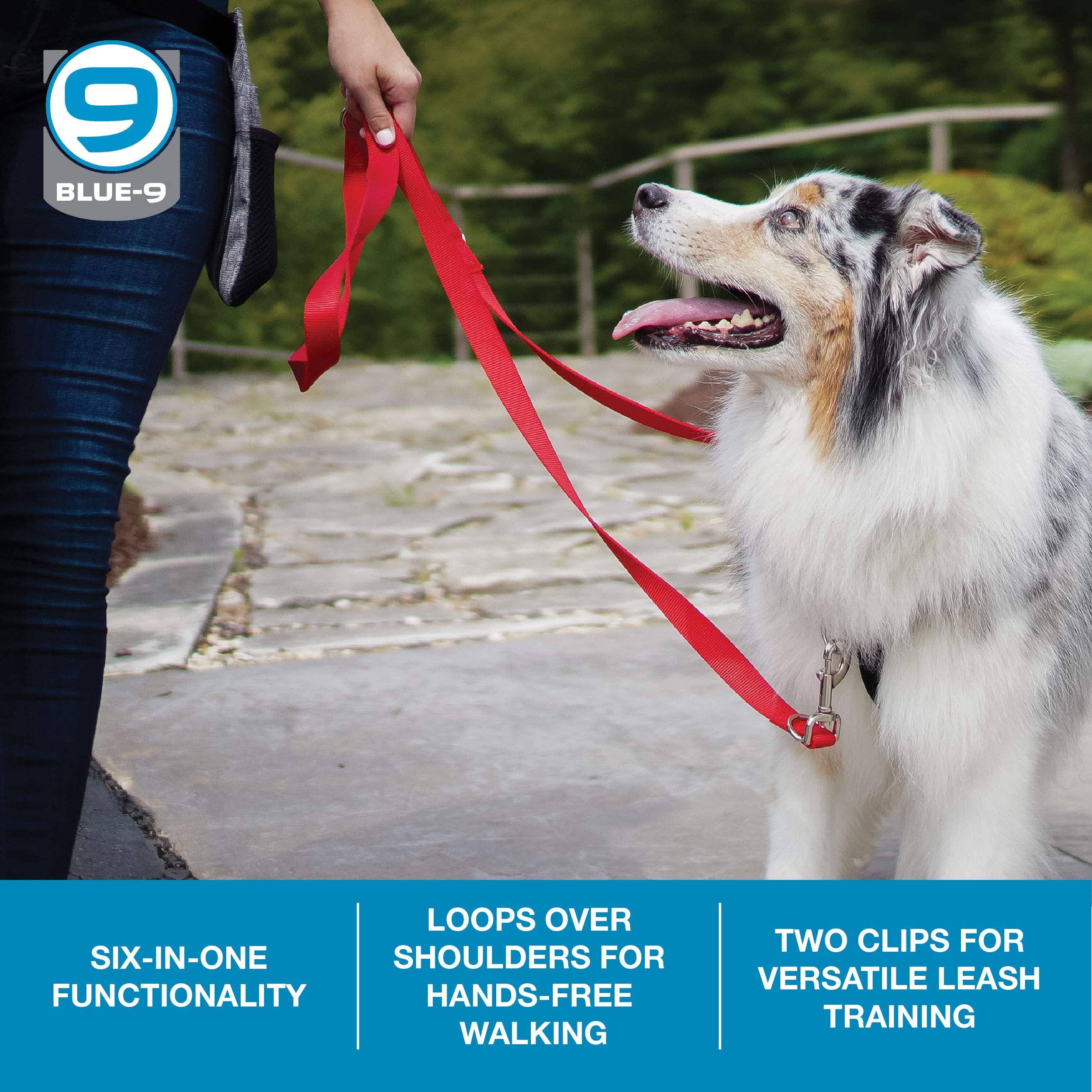 Blue-9 Multi-Function Hands Free Dog Leash, Double Attachment 6 Foot Adjustable Lead For Obedience, Running, And Agility Training (Red, Medium Large)