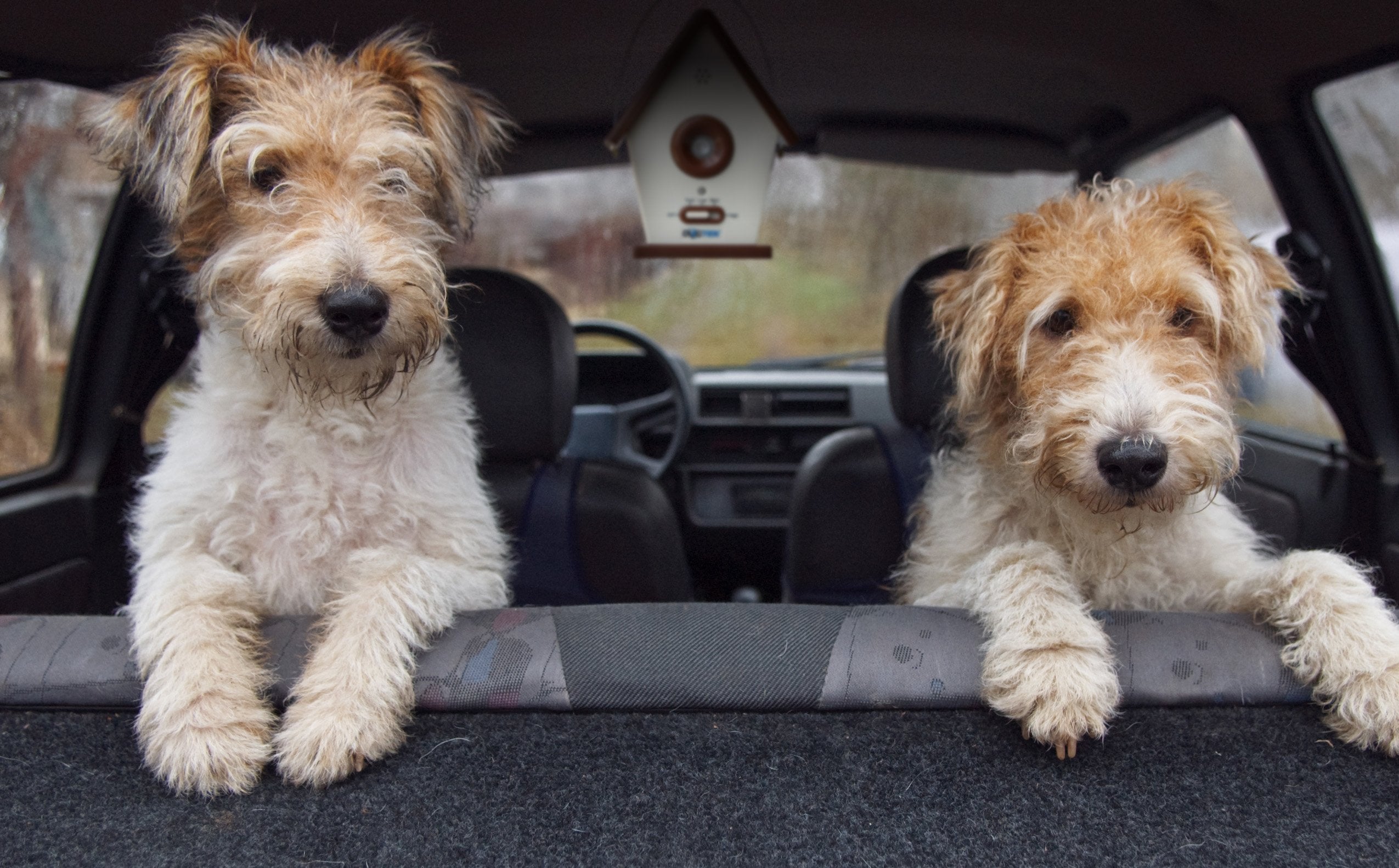 DOGTEK Sonic Bird House Bark Control - Outdoor/Indoor, Beige, New Version for Effective Dog Training