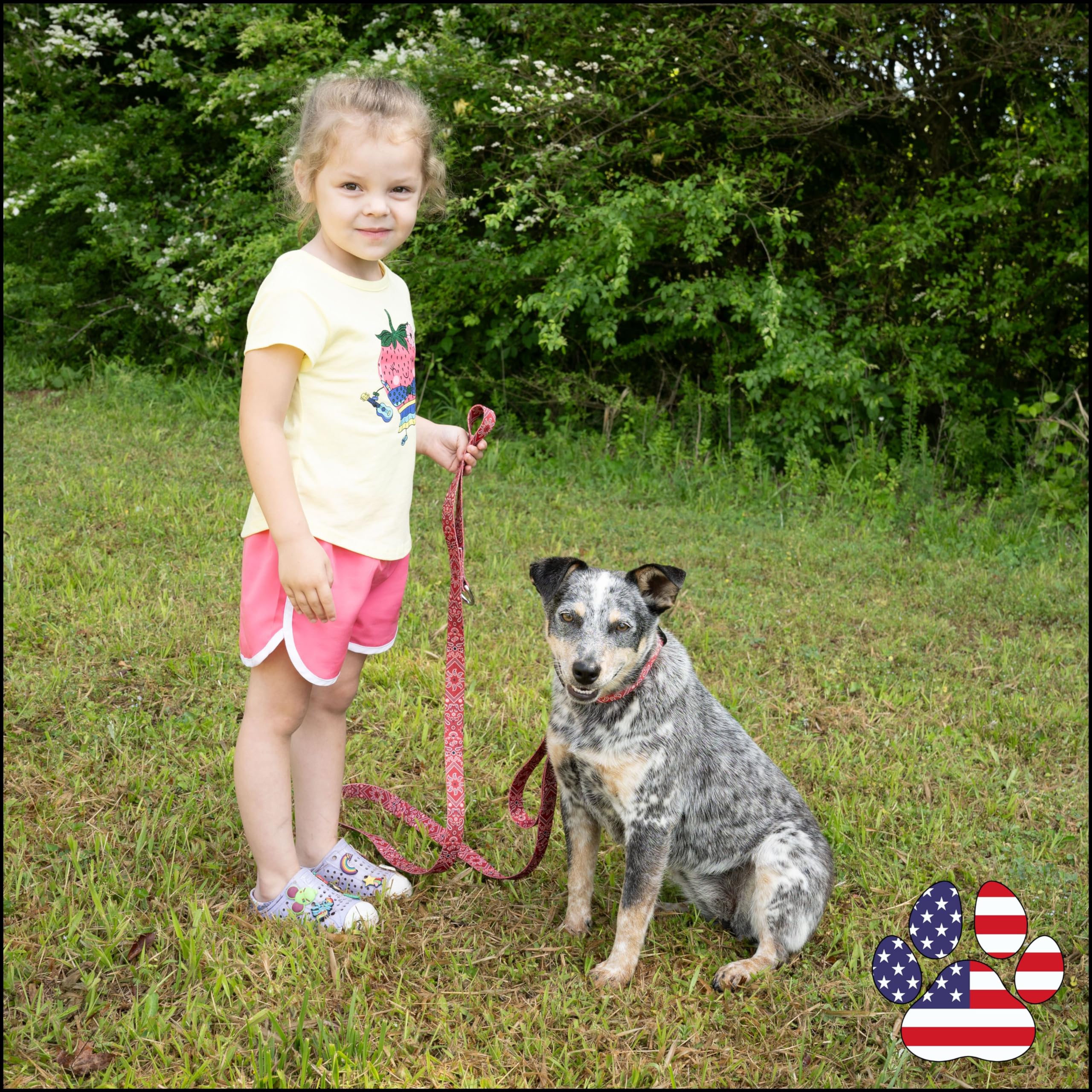 Country Brook Petz - Deluxe Red Bandana Dog Collar - Made In The U.S.A. - Country And Western Collection Featuring Rustic Design