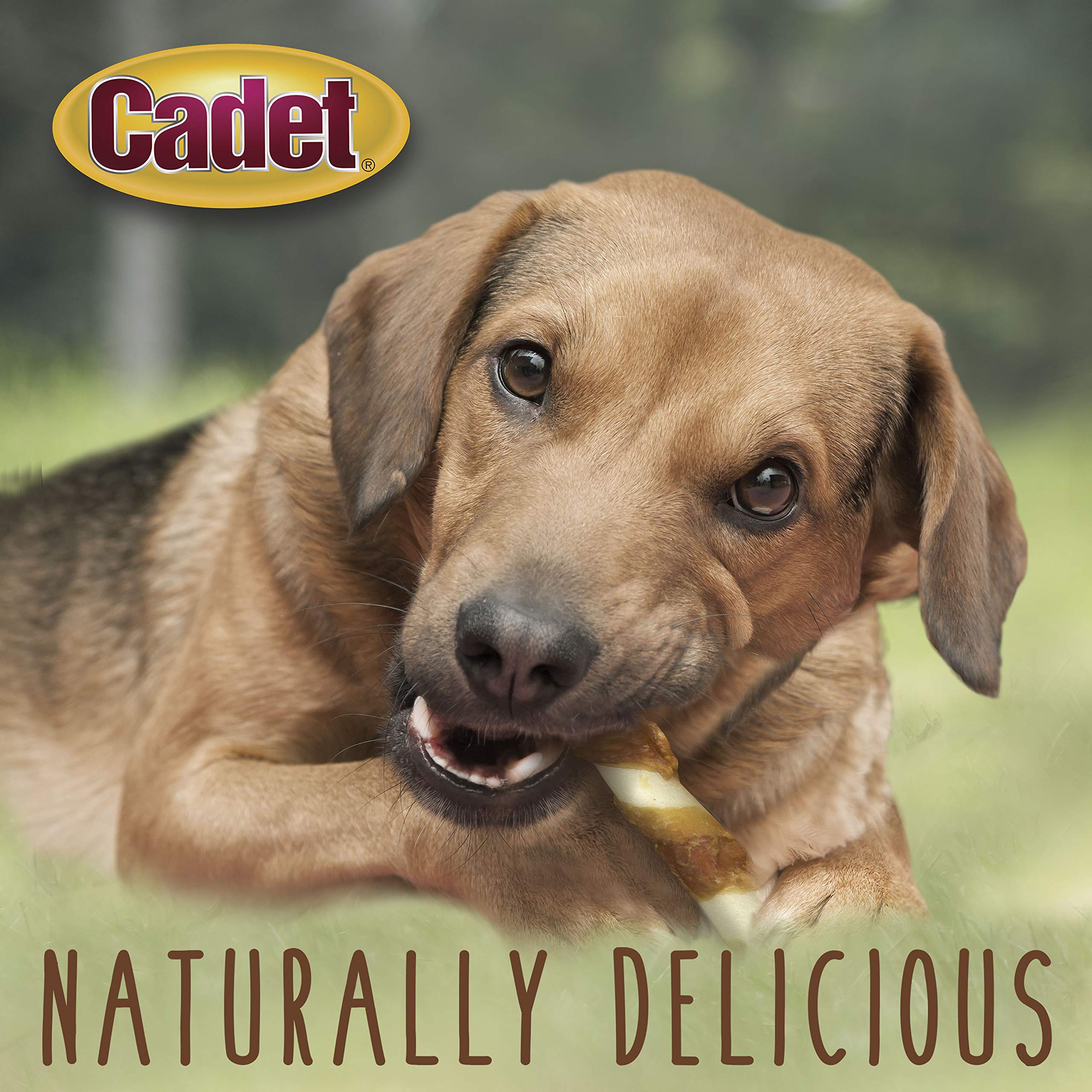 Cadet Gourmet 8-Inch Beef Hide Twist Chew Sticks, Long-Lasting and Natural Rawhide Chews for Dogs, Inspected & Tested in USA, Ch