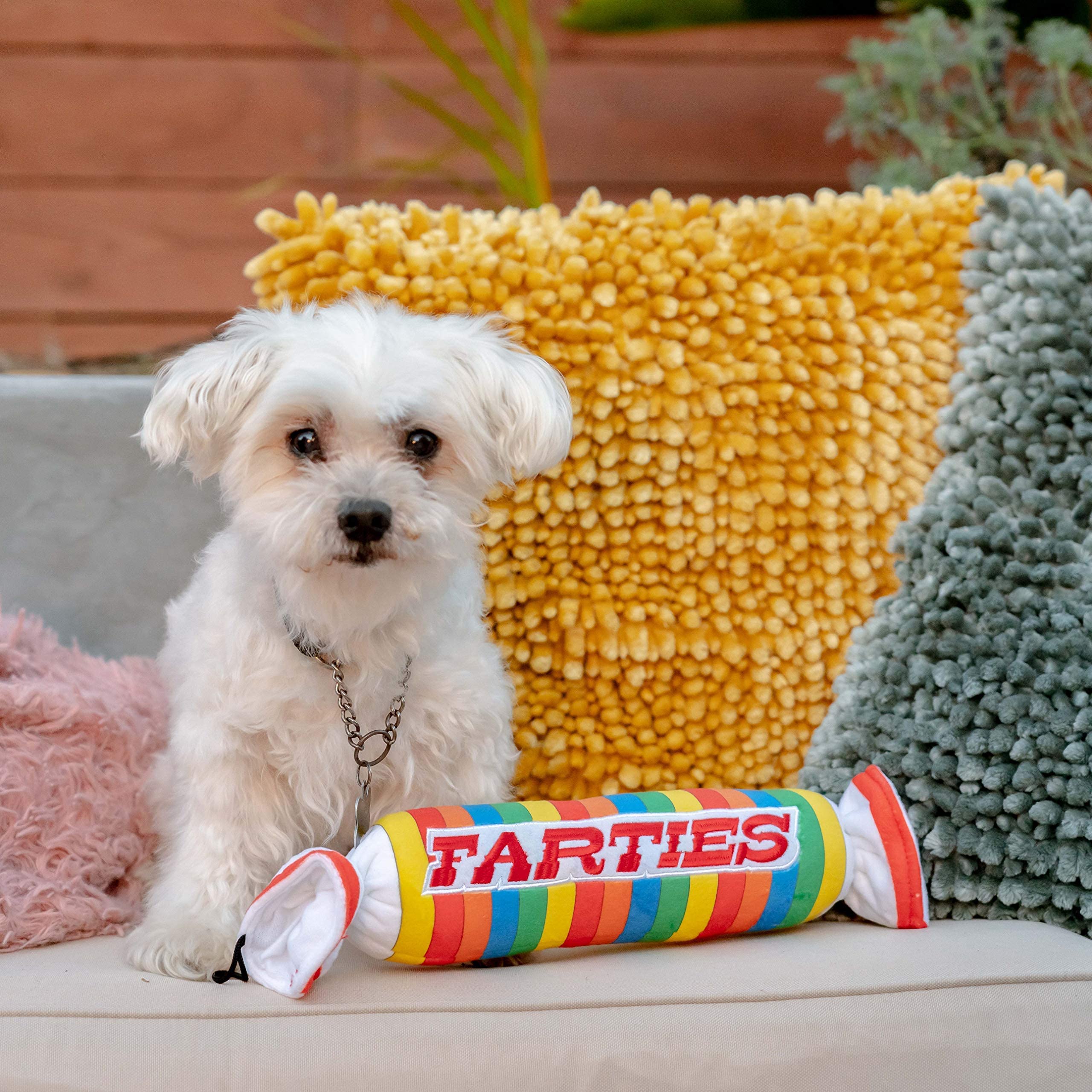 Huxley & Kent for Dogs | Farties (Small) | Funny Dog Toy | Dog Toy with Squeaker | Dog Gift | Fun, Durable, and Safe | Squeaky D