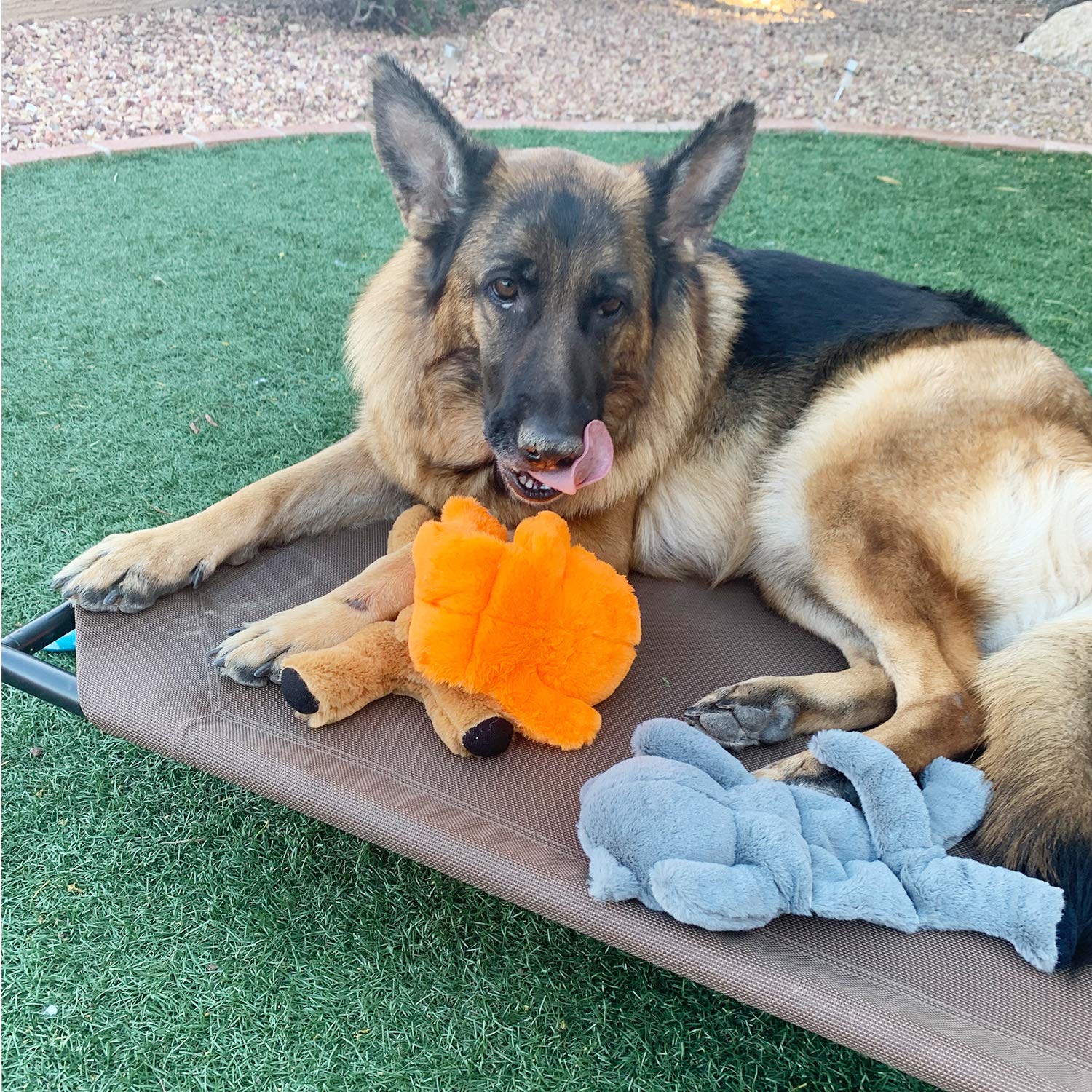 Jalousie 5 Pack 12   Dog Toys Assortment - Plush Squeaky Toys for Medium to Large Breeds - Raccoon, Elk, Hippo, Fox, Sloth