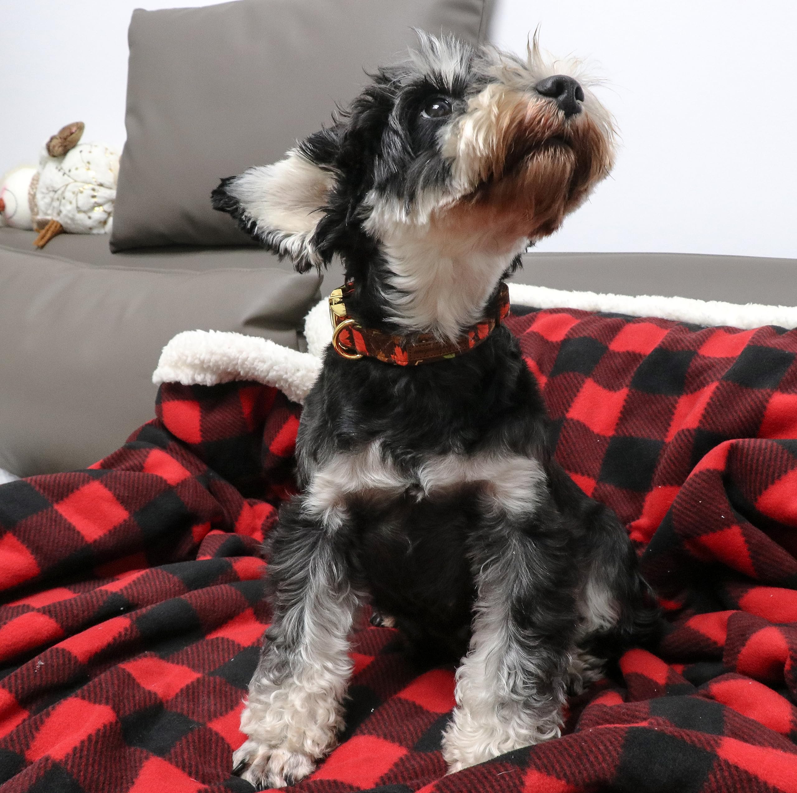 Unique Style Paws Dog Collar Metal Buckle Maple Leaves Collar Gift Durable Cute Collar For Small Medium Large Boys Girls Dogs