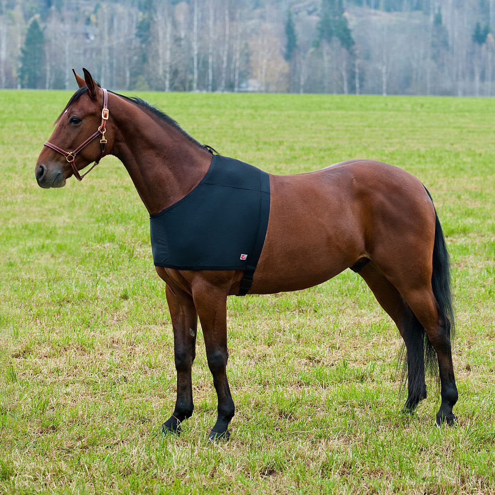 Horze Comforce Blanket Shoulder Guard - Black - M