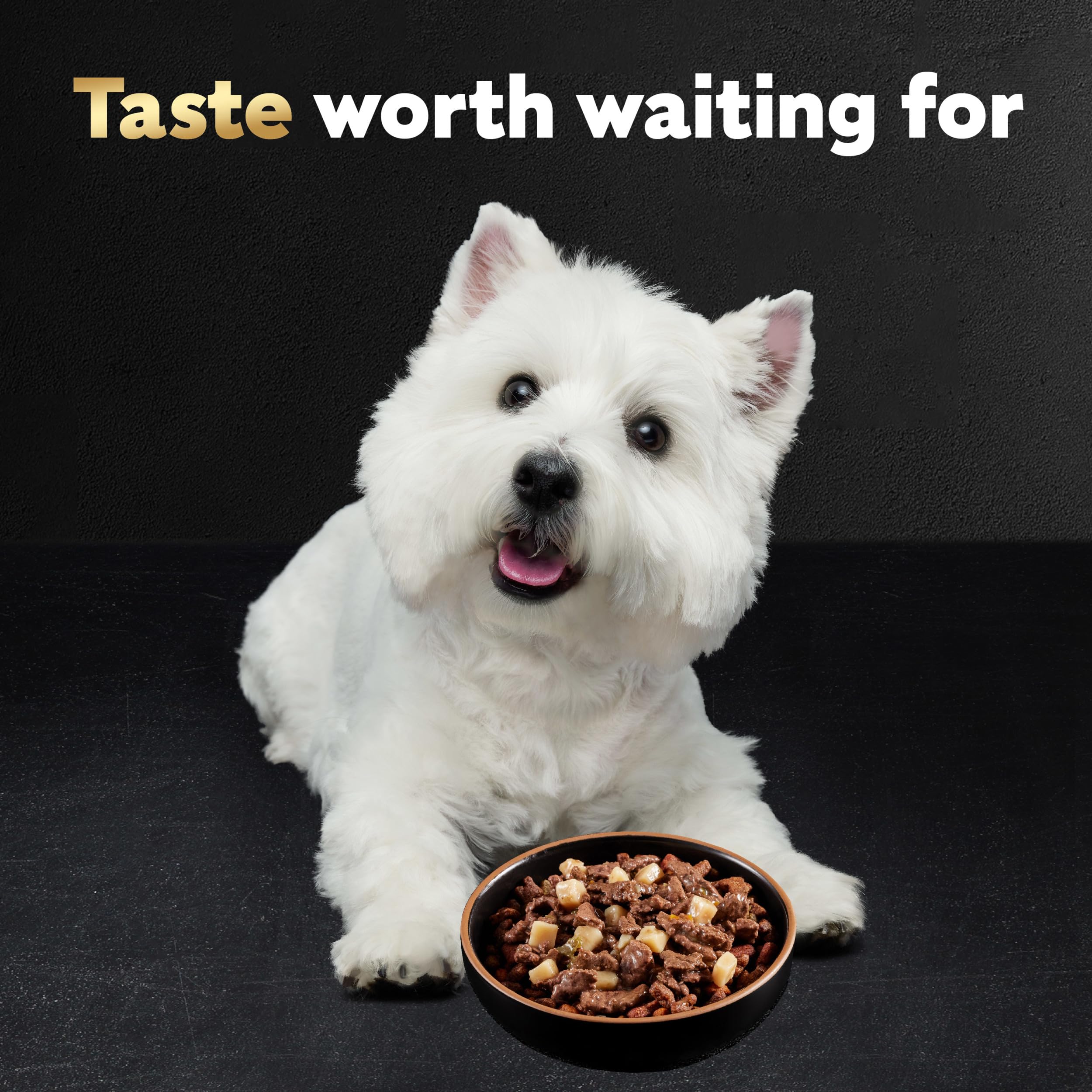 Cesar Home Delights Adult Wet Dog Food, Beef Stew, 3.5 oz. (24 Count, Pack of 1)