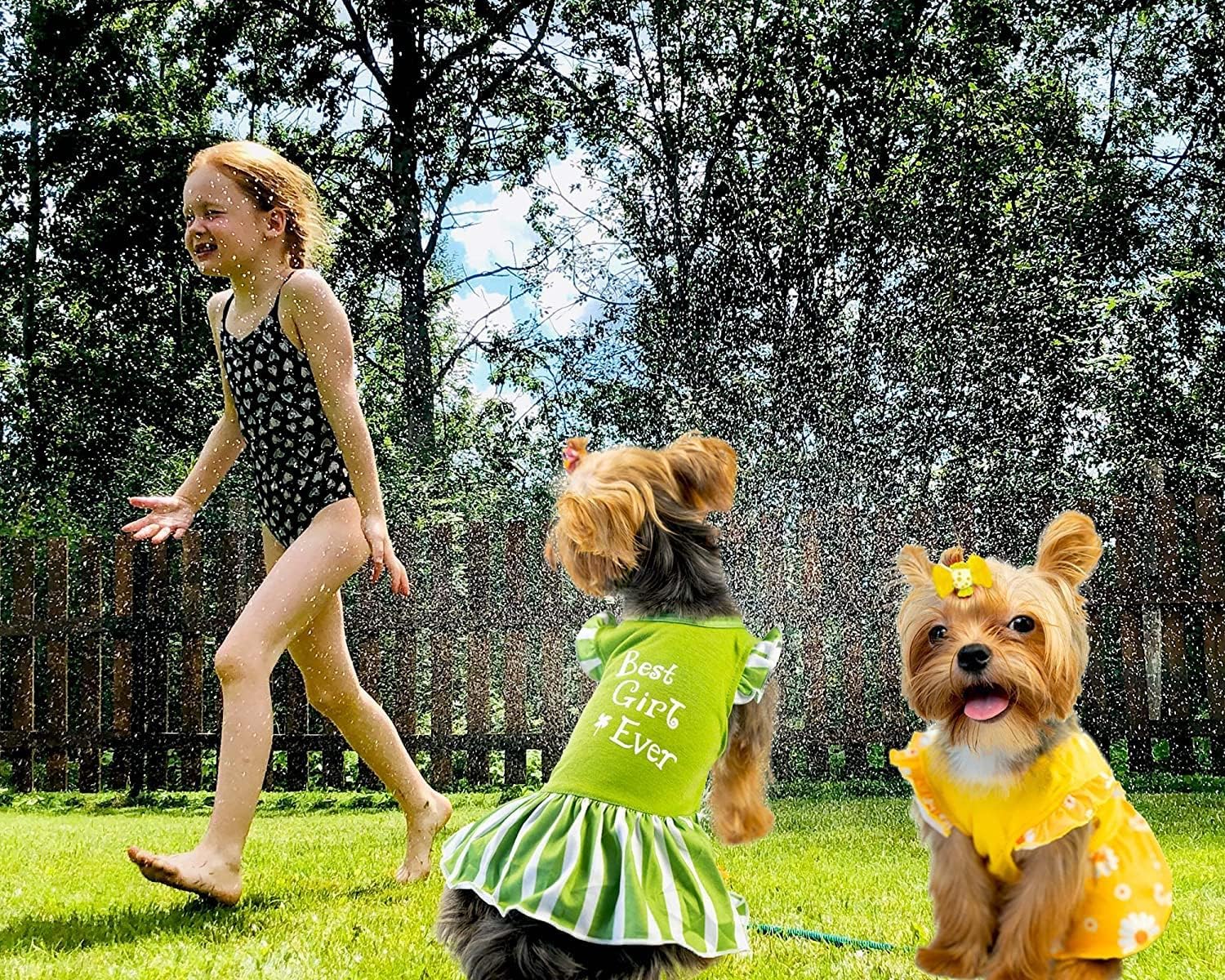 Xpudac 4 Pieces Dog Dress Girl Clothes For Dogs Girl Flower Dresses For Small Dogs Apparel Colorful Small Dog Clothes Female (Me