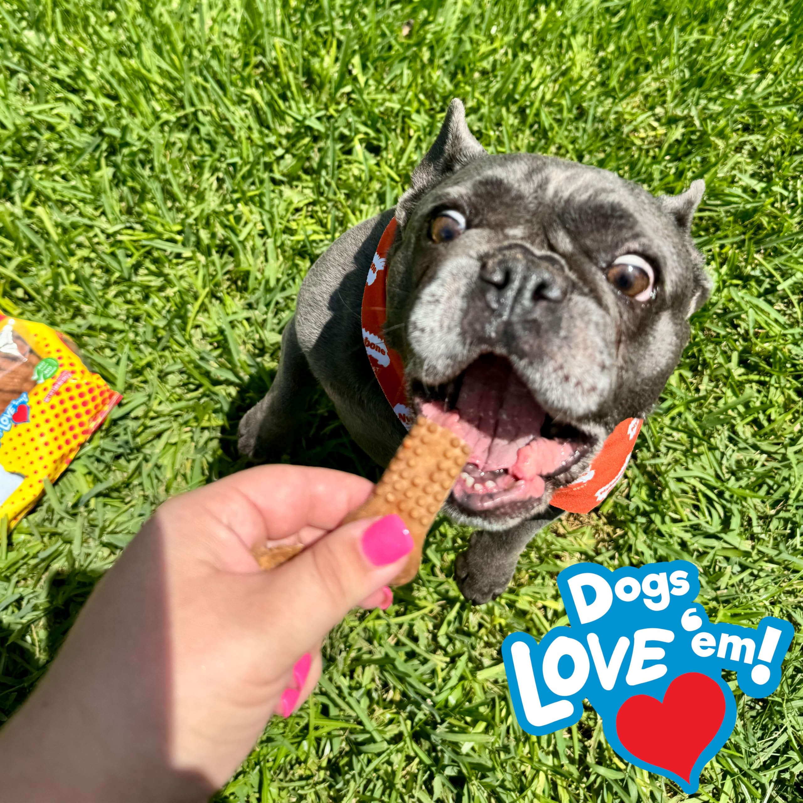Nylabone Nubz Flavor Bursts Natural Edible Chew Bones for Dogs, Healthy Long Lasting Chews Made in The USA, Grain-Free Dog Treat