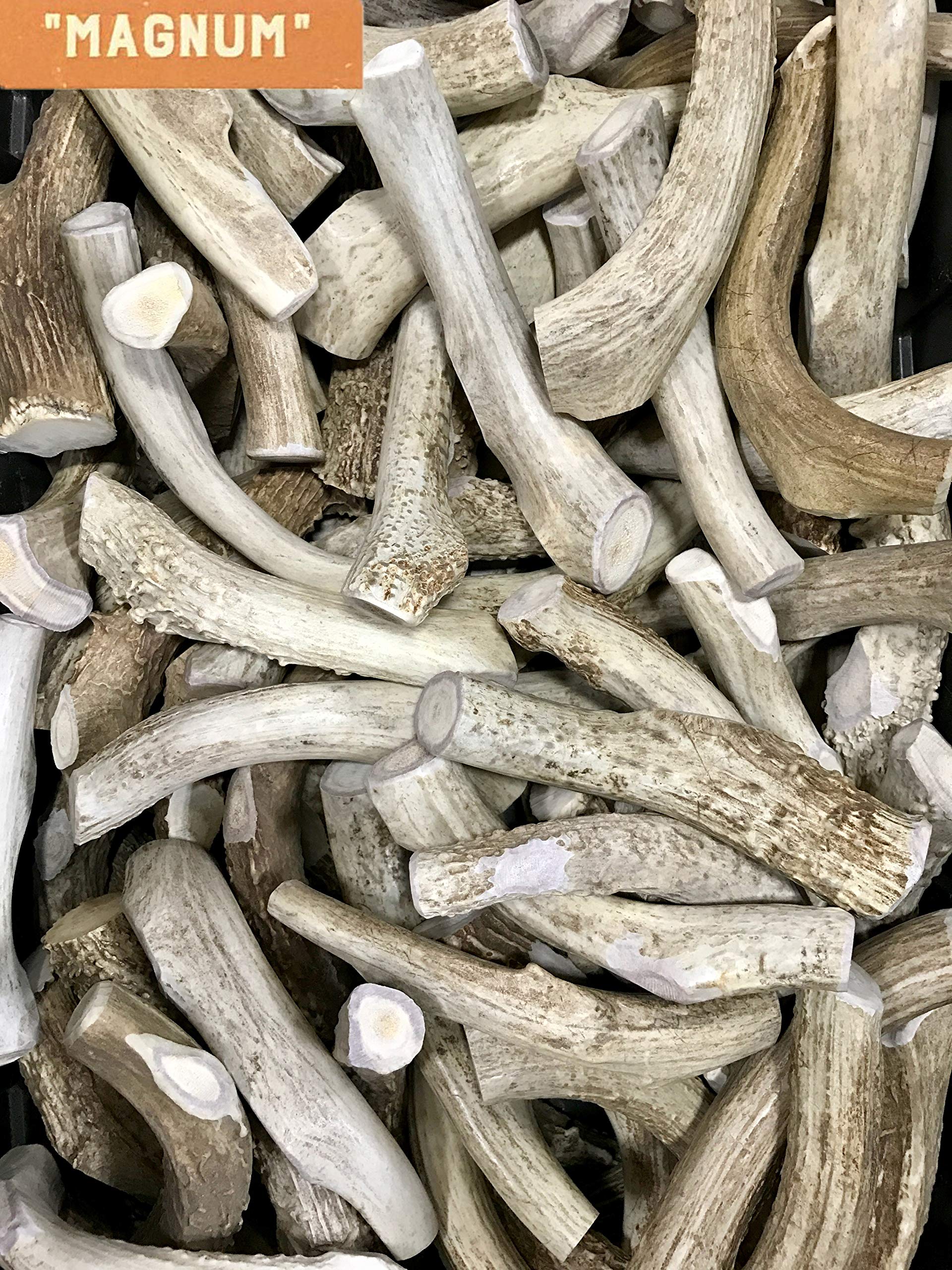 Natural Dakota Premium Deer Antler Chew Toys (X-Large) Magnum
