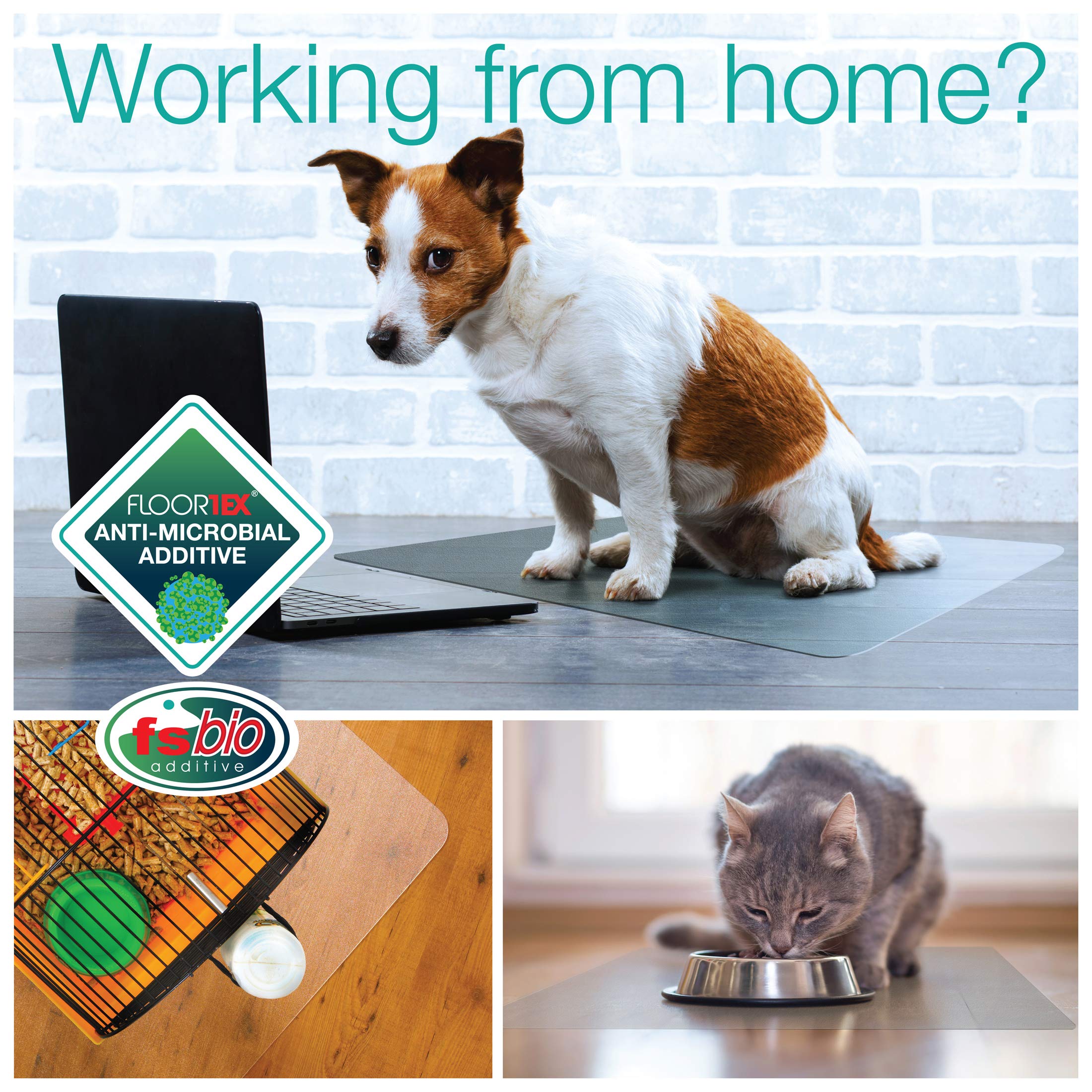 Floortex P-Tex Pet Mat 36' X 48' Feeding Station Floor Protection For Carpets, Fresh Mist (Dogab1190Ev)