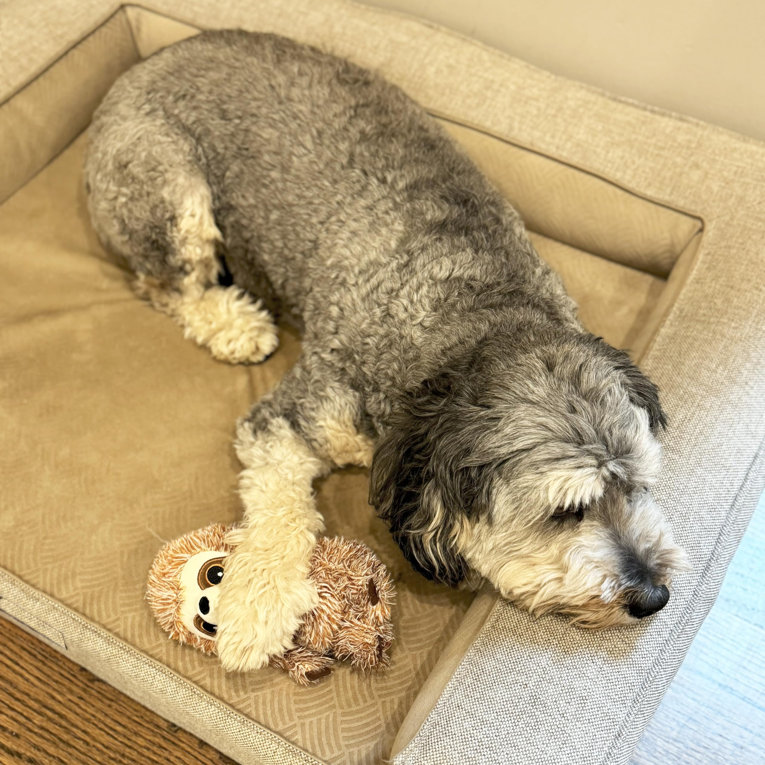 Spot Fun Sloth Dog Toy - Soft, Stuffed, Squeaky, Plush Fabric Toy For Mini And Small Dogs And Puppies, Enrichment For Light Chewers And Cuddlers, 7In