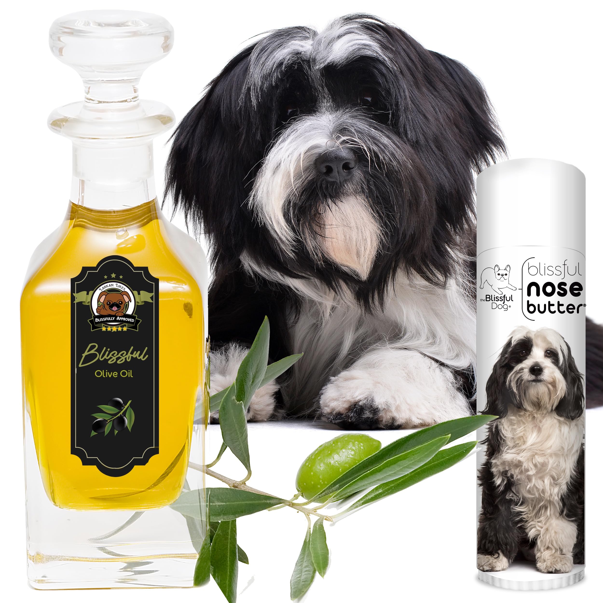 The Blissful Dog Tibetan Terrier Unscented Nose Butter - Dog Nose Butter, 0.50 Ounce,UNSC-TIBTERR-50oz