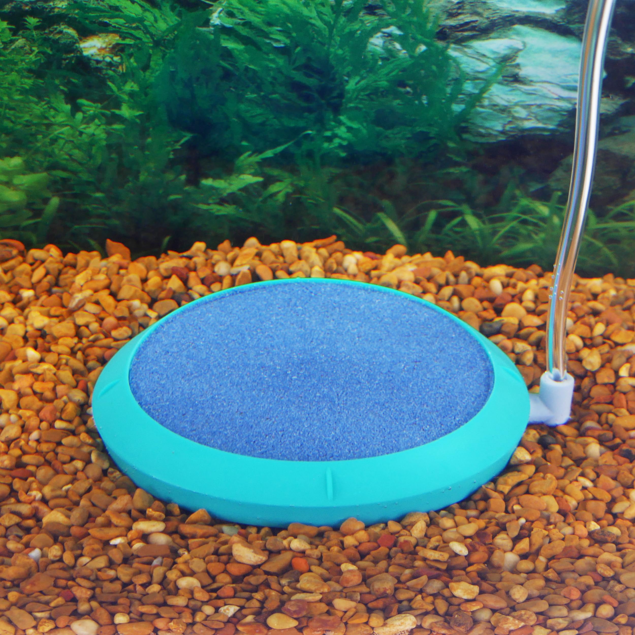 Penn-Plax Aquarium Bubble Disk Aerator - Air Pump Accessories – For Fish Tanks (Small)