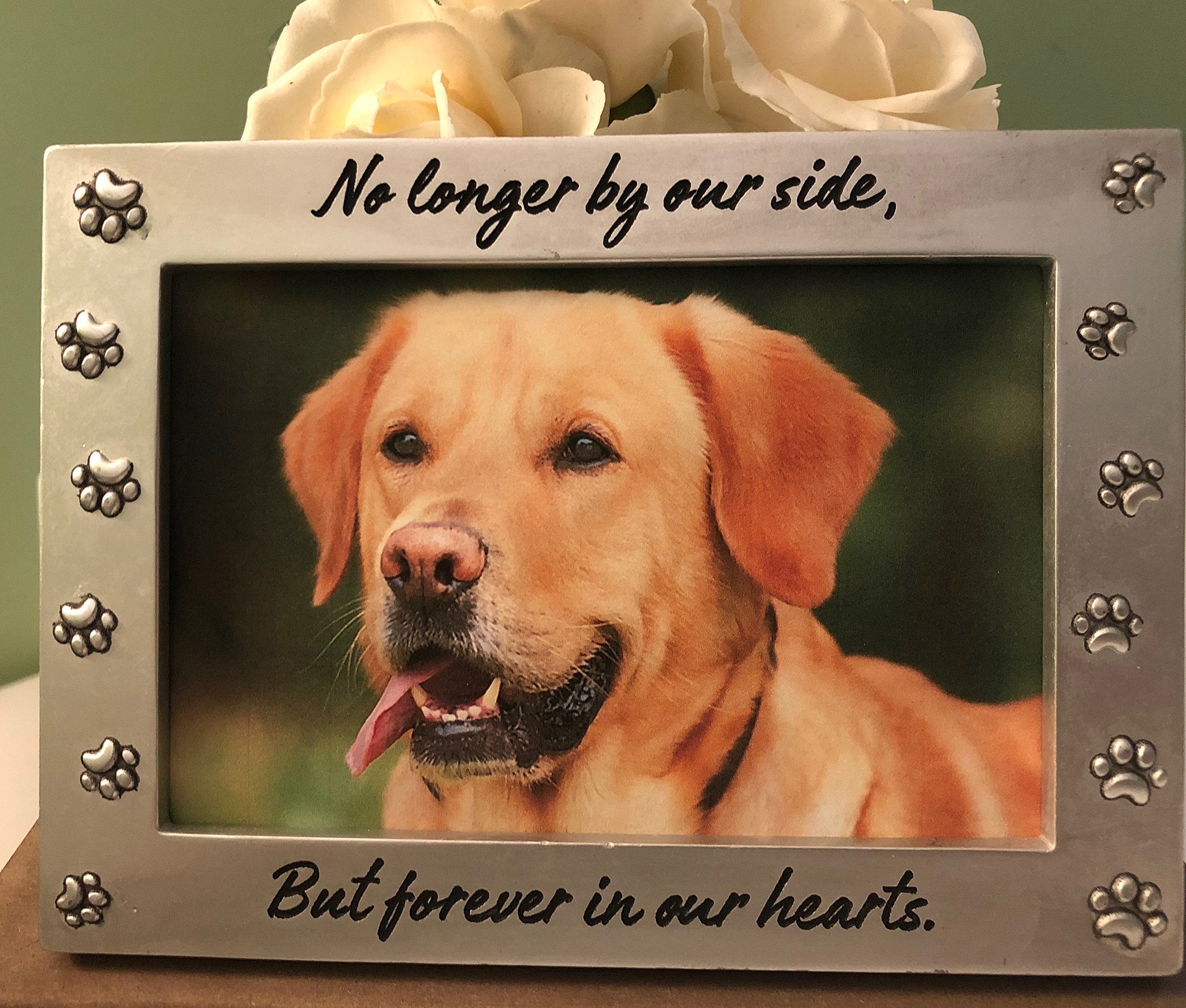 Pet Memorial Picture Frame Keepsake For Dog Or Cat, Perfect Loss Of Pet Gift For Remembrance And Healing